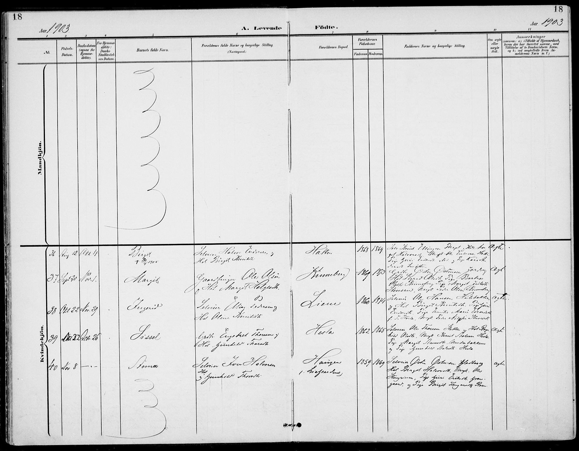 Gol kirkebøker, AV/SAKO-A-226/F/Fa/L0006: Parish register (official) no. I 6, 1901-1918, p. 18