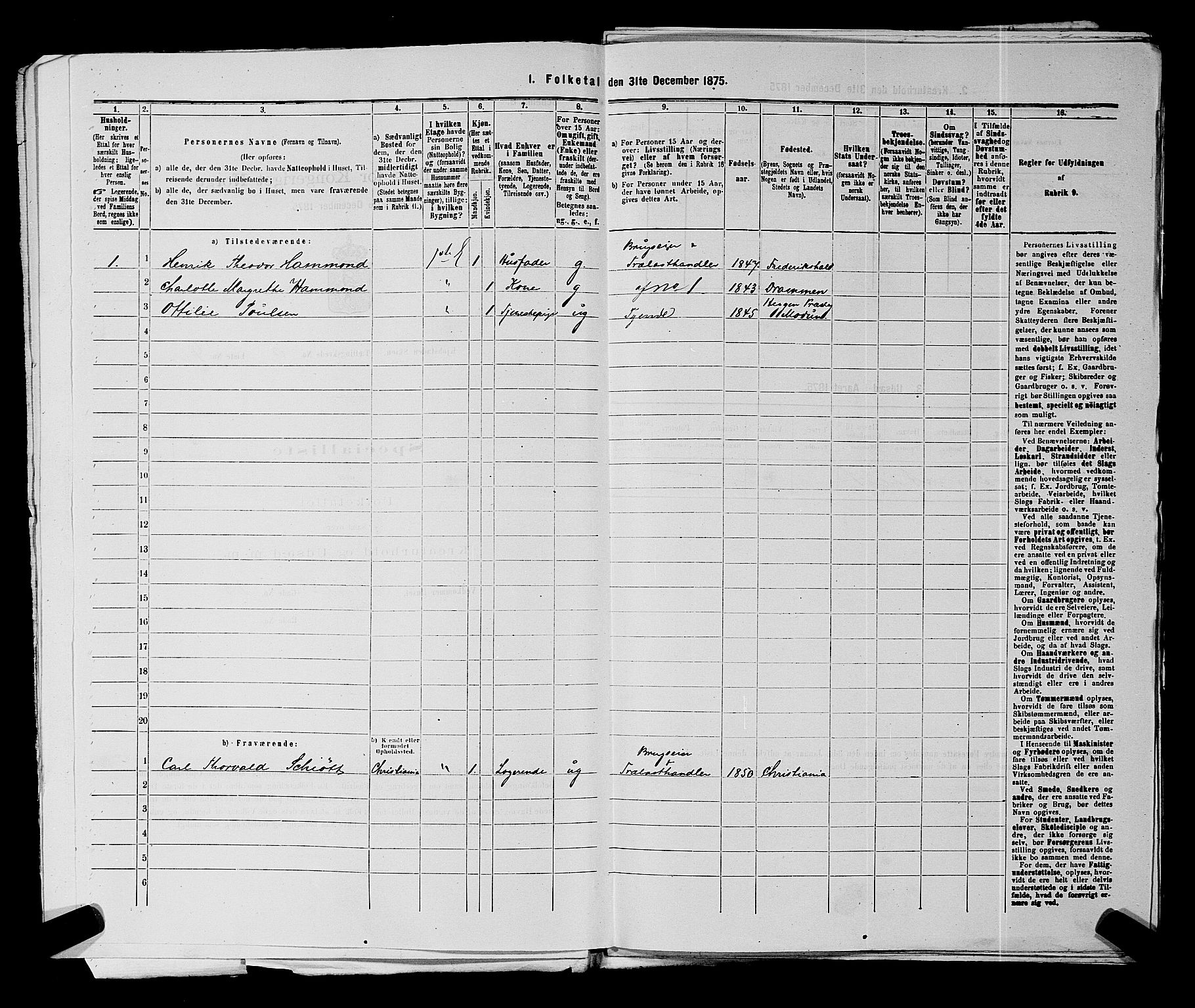 SAKO, 1875 census for 0806P Skien, 1875, p. 1348