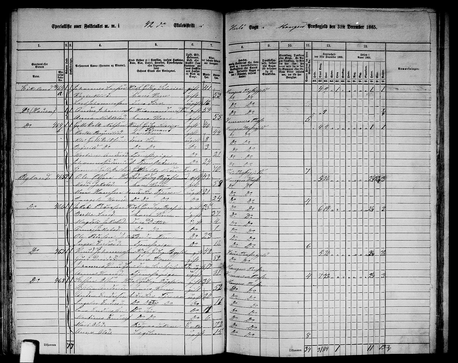 RA, 1865 census for Manger, 1865, p. 125