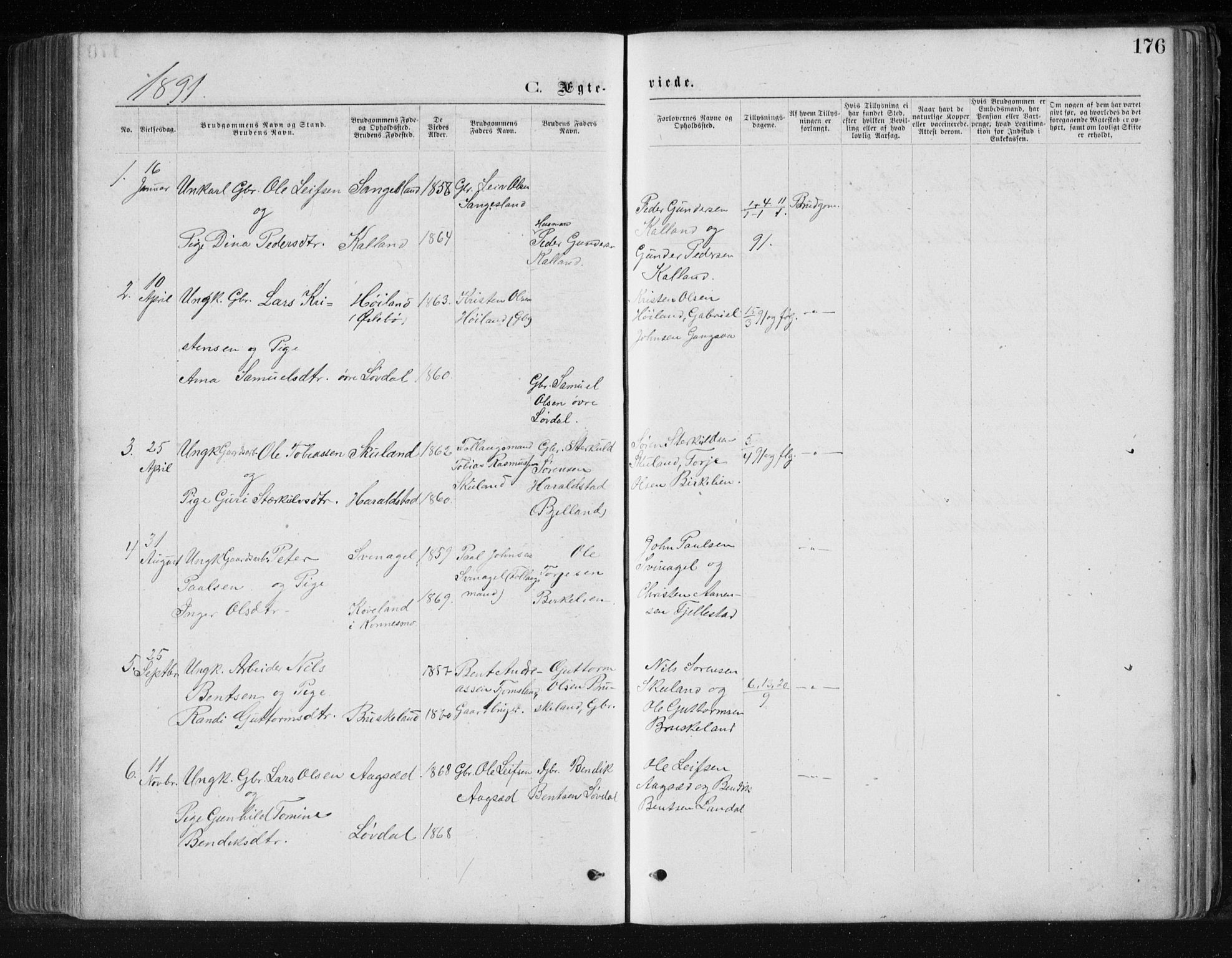 Holum sokneprestkontor, SAK/1111-0022/F/Fb/Fbb/L0003: Parish register (copy) no. B 3, 1875-1898, p. 176