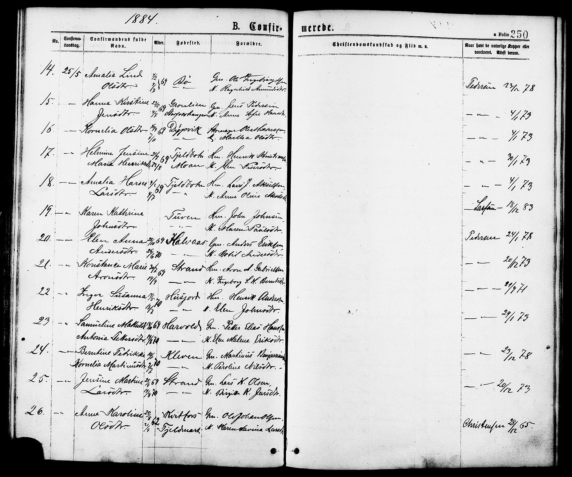 Ministerialprotokoller, klokkerbøker og fødselsregistre - Nordland, AV/SAT-A-1459/863/L0897: Parish register (official) no. 863A09, 1872-1886, p. 250