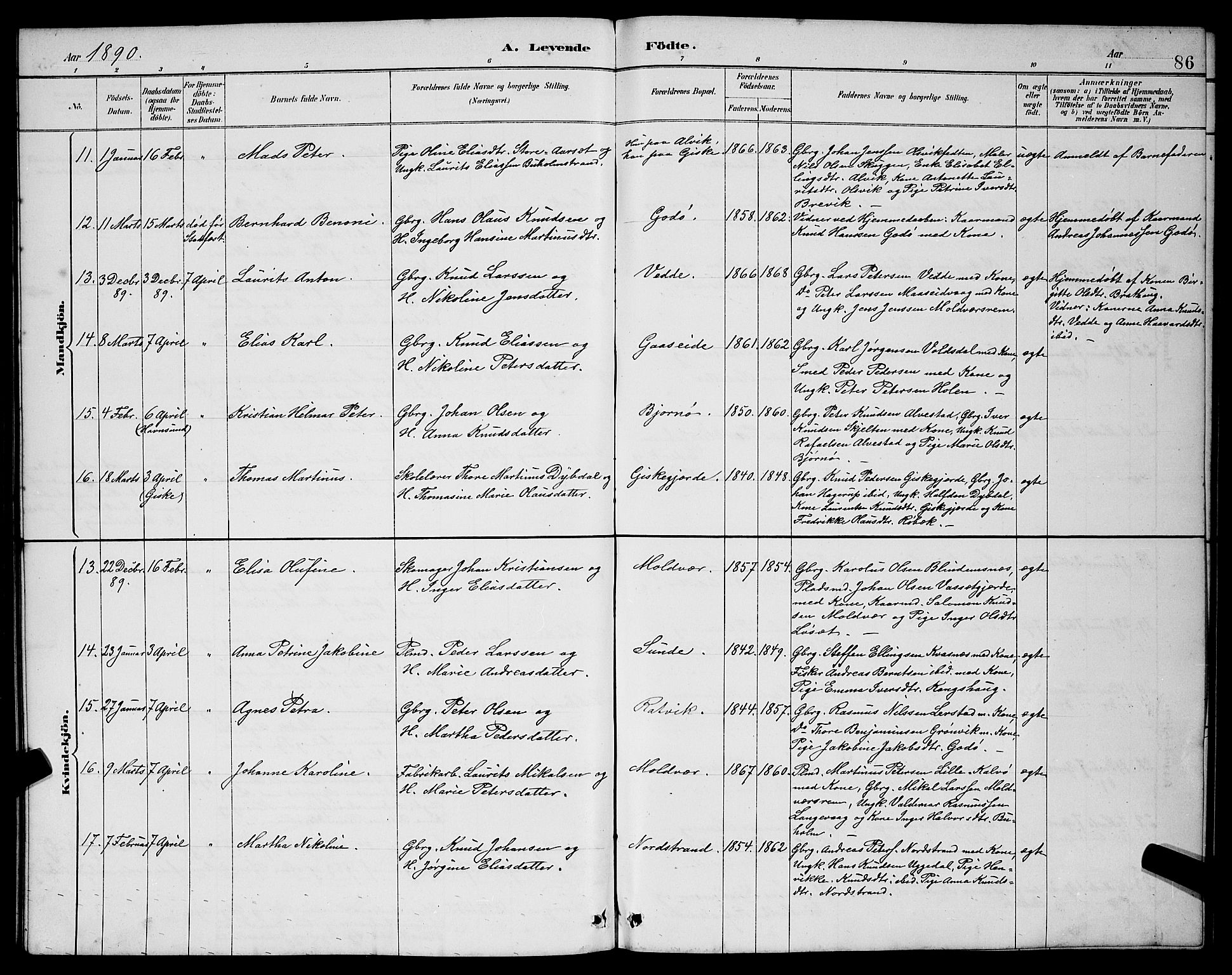 Ministerialprotokoller, klokkerbøker og fødselsregistre - Møre og Romsdal, AV/SAT-A-1454/528/L0431: Parish register (copy) no. 528C12, 1885-1898, p. 86