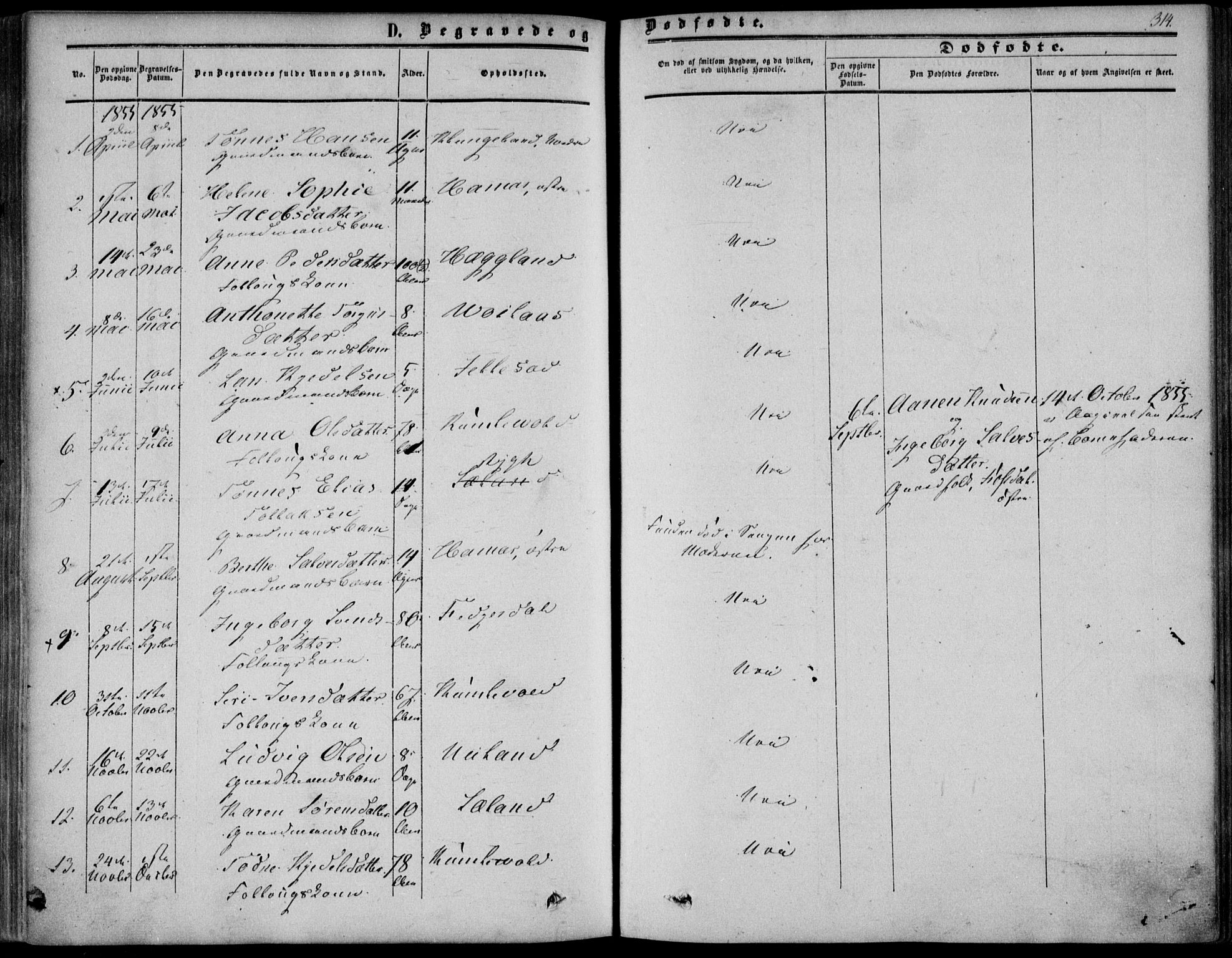 Bakke sokneprestkontor, SAK/1111-0002/F/Fa/Fab/L0002: Parish register (official) no. A 2, 1855-1884, p. 314