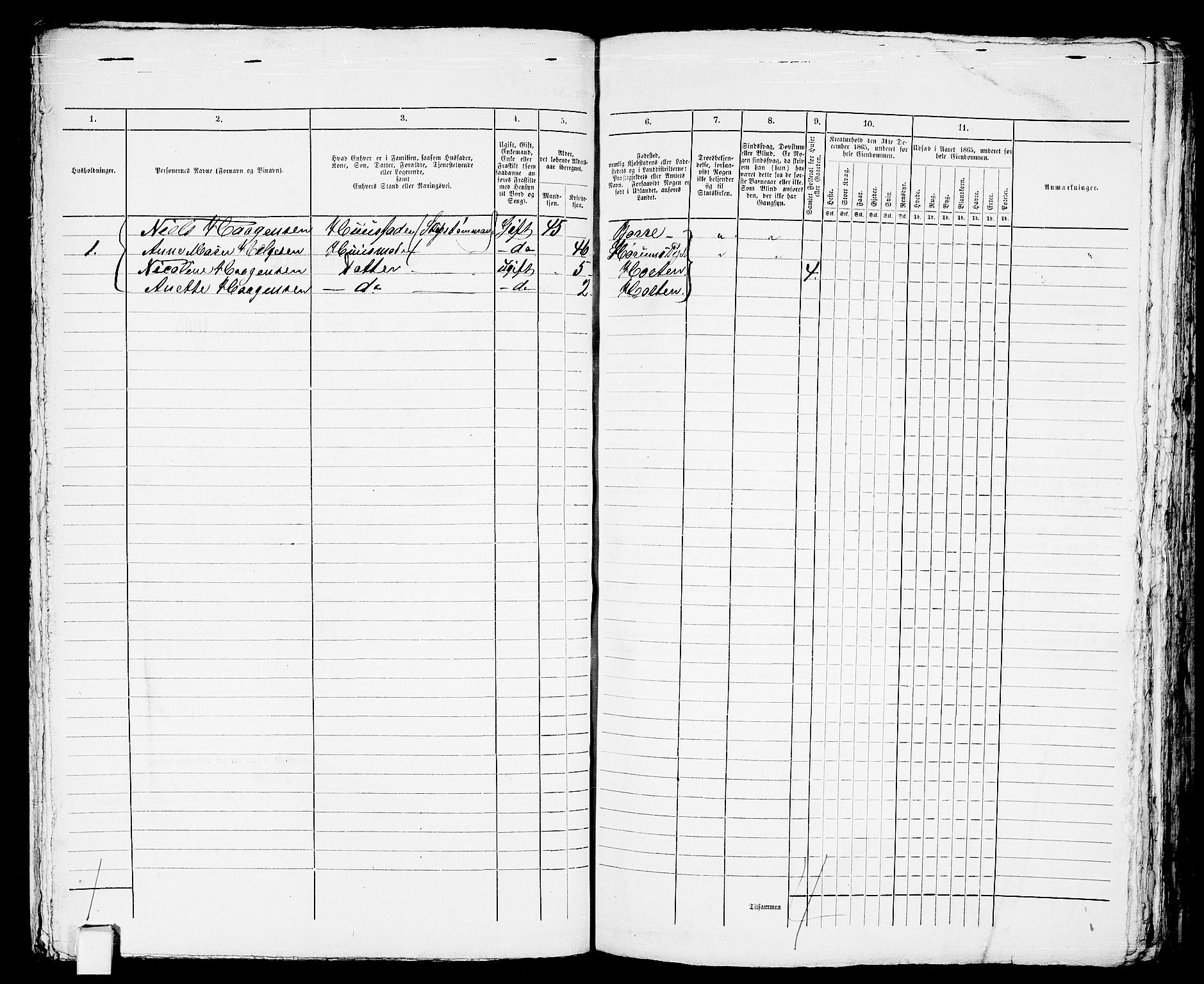 RA, 1865 census for Horten, 1865, p. 607