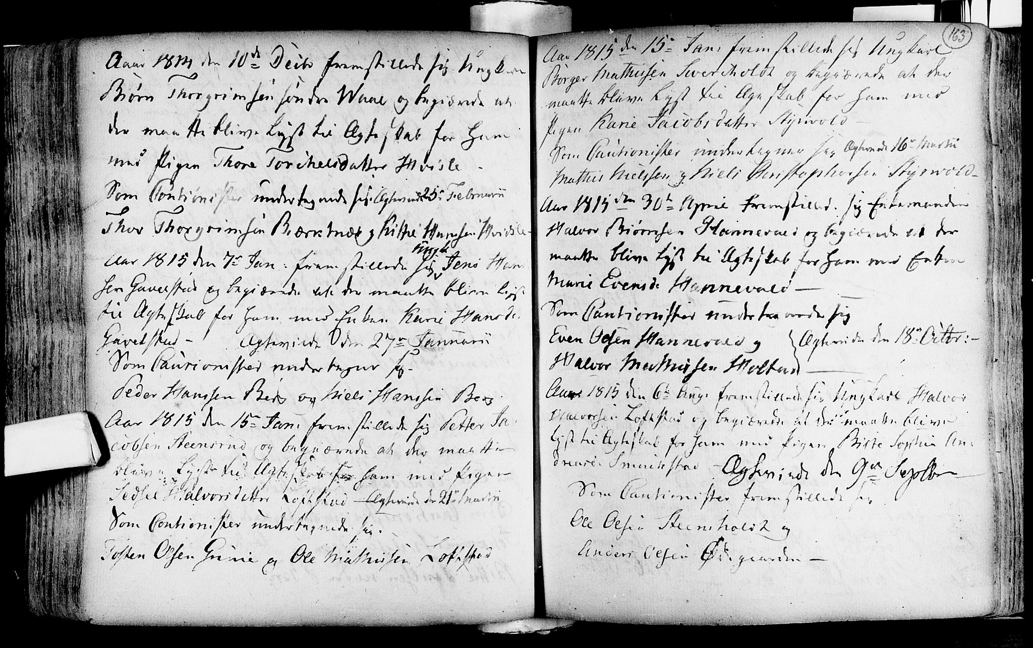 Lardal kirkebøker, SAKO/A-350/F/Fa/L0004: Parish register (official) no. i 4, 1733-1815, p. 163