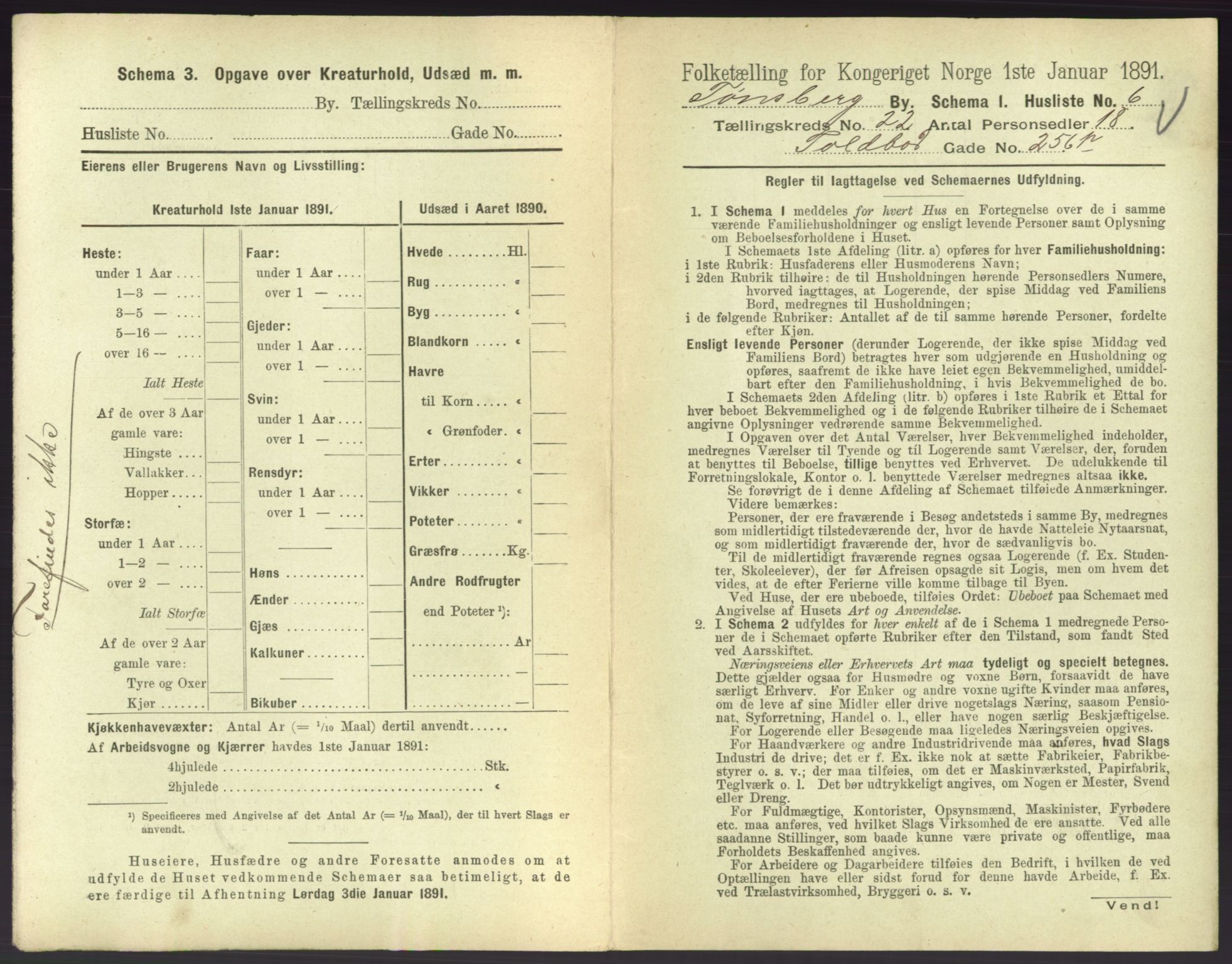 RA, 1891 census for 0705 Tønsberg, 1891, p. 730