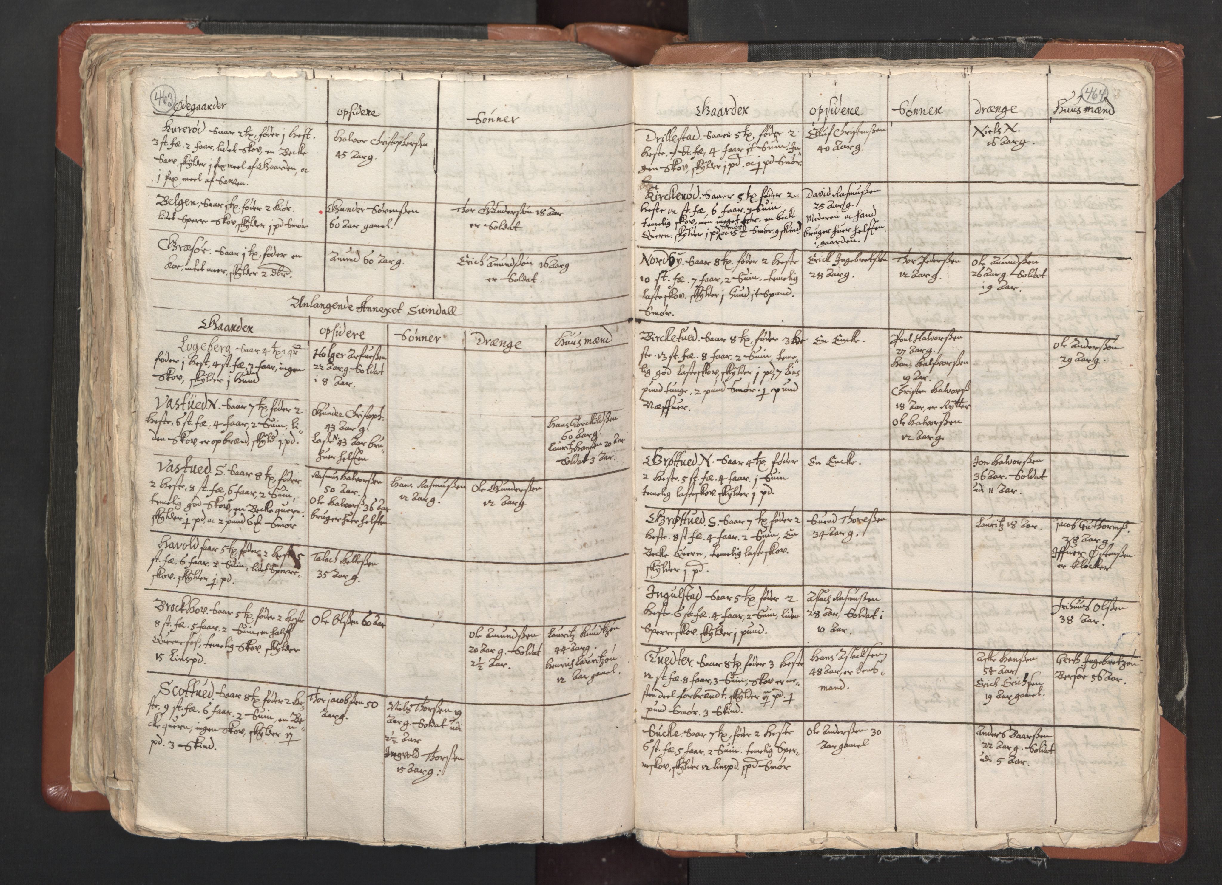 RA, Vicar's Census 1664-1666, no. 1: Nedre Borgesyssel deanery, 1664-1666, p. 463-464