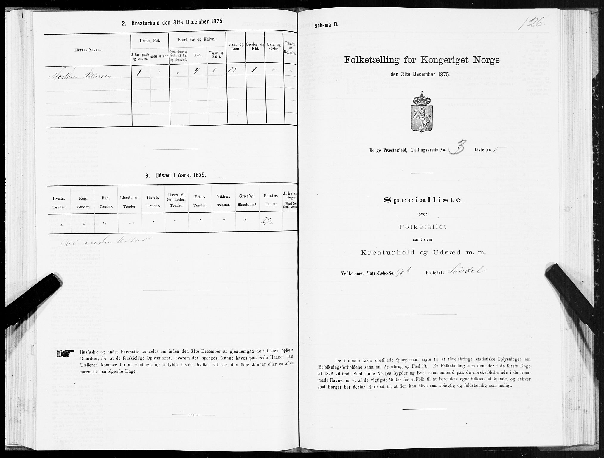 SAT, 1875 census for 1862P Borge, 1875, p. 2126