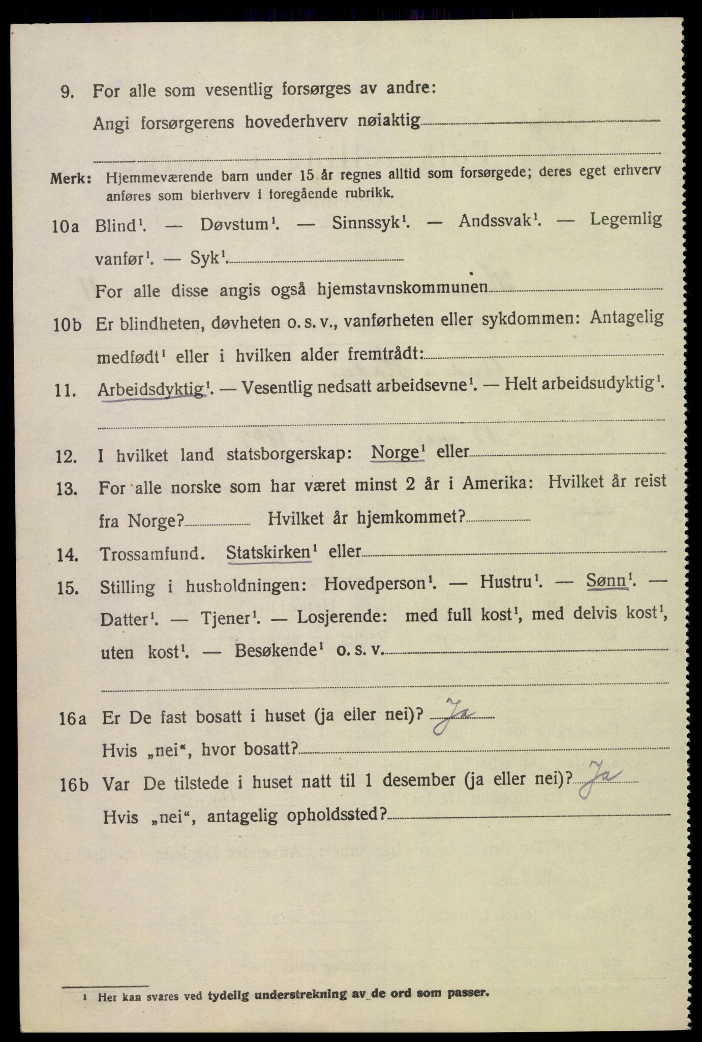 SAK, 1920 census for Hornnes, 1920, p. 2644