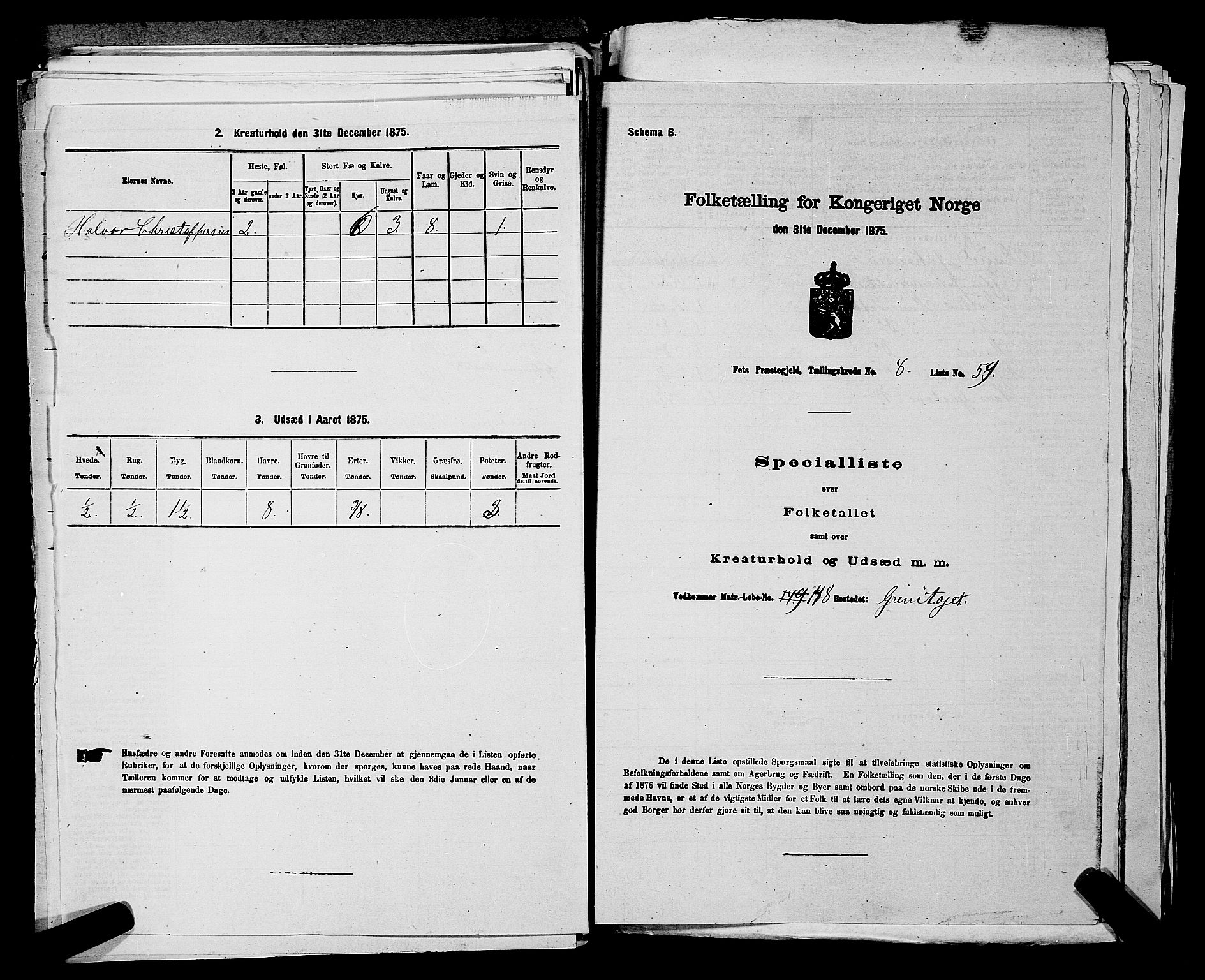 RA, 1875 census for 0227P Fet, 1875, p. 1271