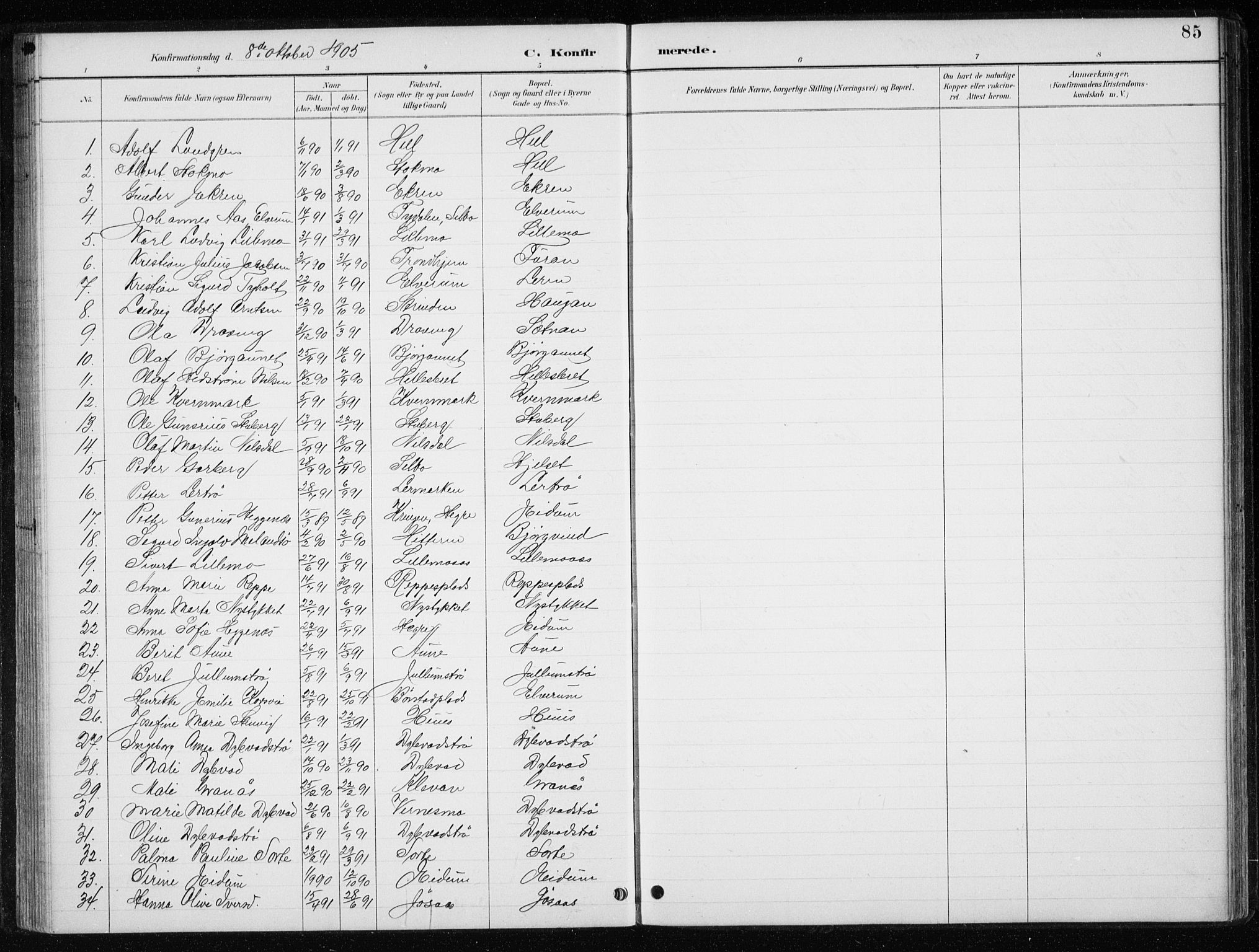 Ministerialprotokoller, klokkerbøker og fødselsregistre - Nord-Trøndelag, AV/SAT-A-1458/710/L0096: Parish register (copy) no. 710C01, 1892-1925, p. 85