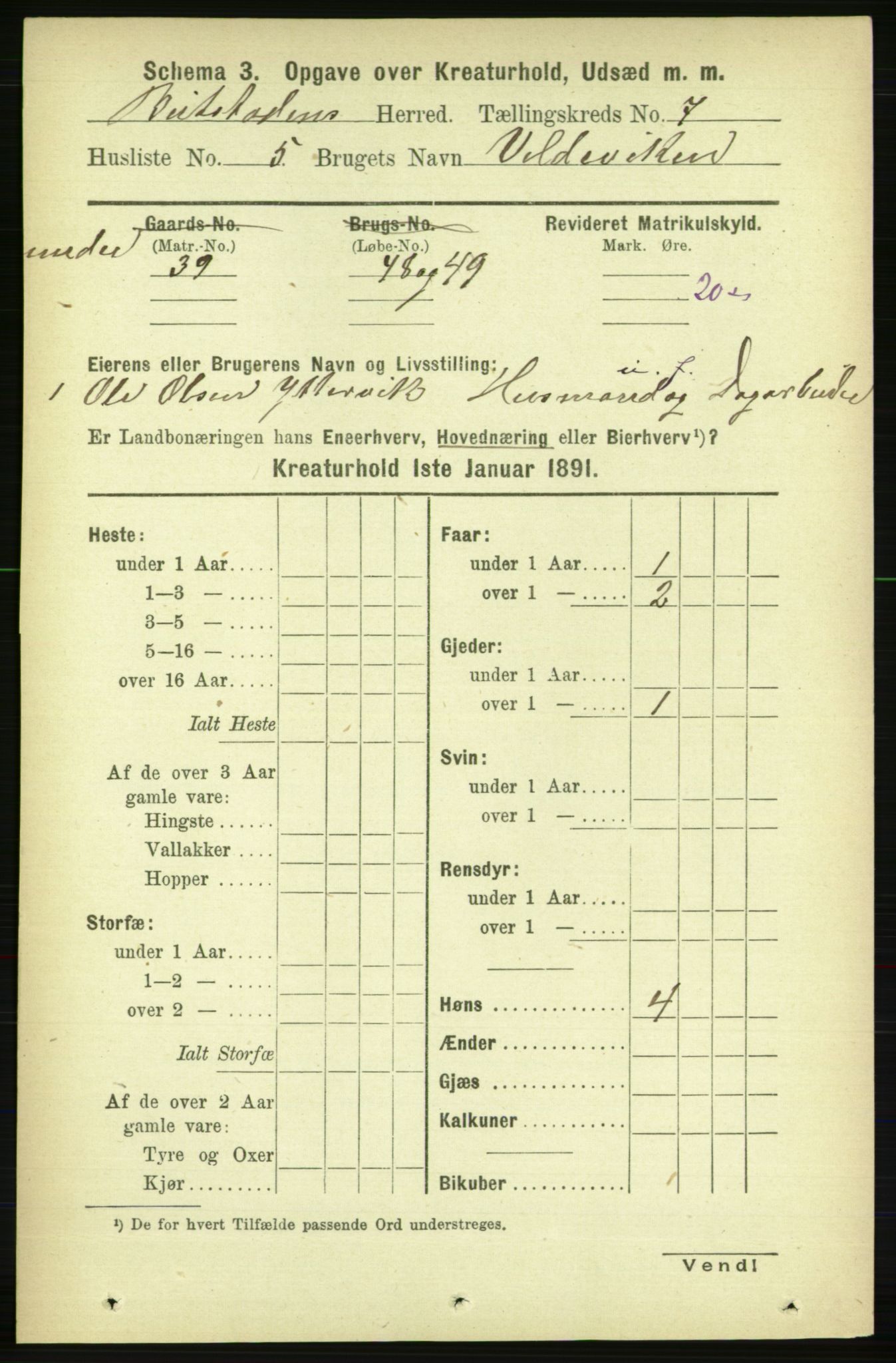 RA, 1891 census for 1727 Beitstad, 1891, p. 5905