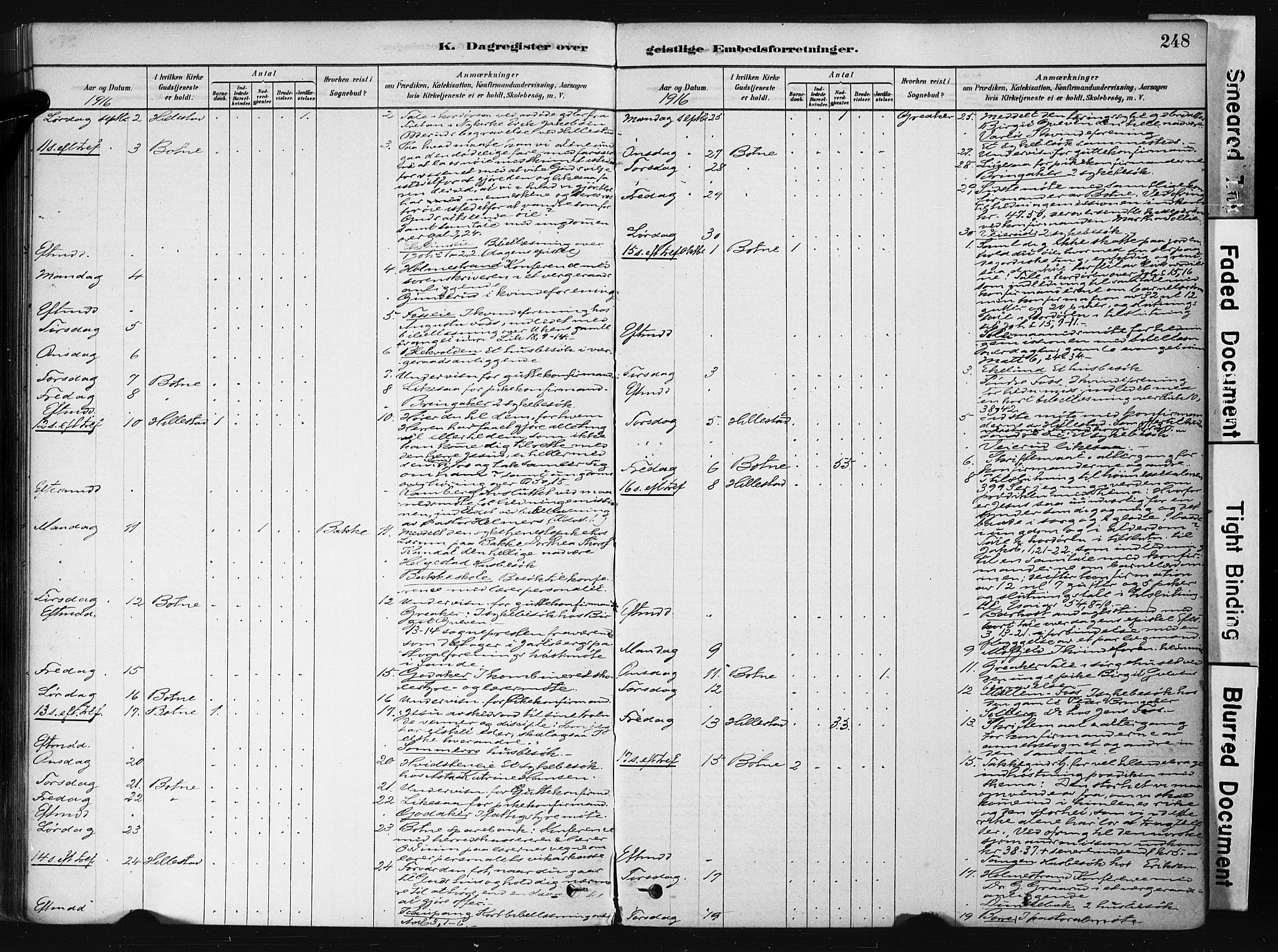 Botne kirkebøker, AV/SAKO-A-340/F/Fb/L0001: Parish register (official) no. II 1, 1878-1902, p. 248