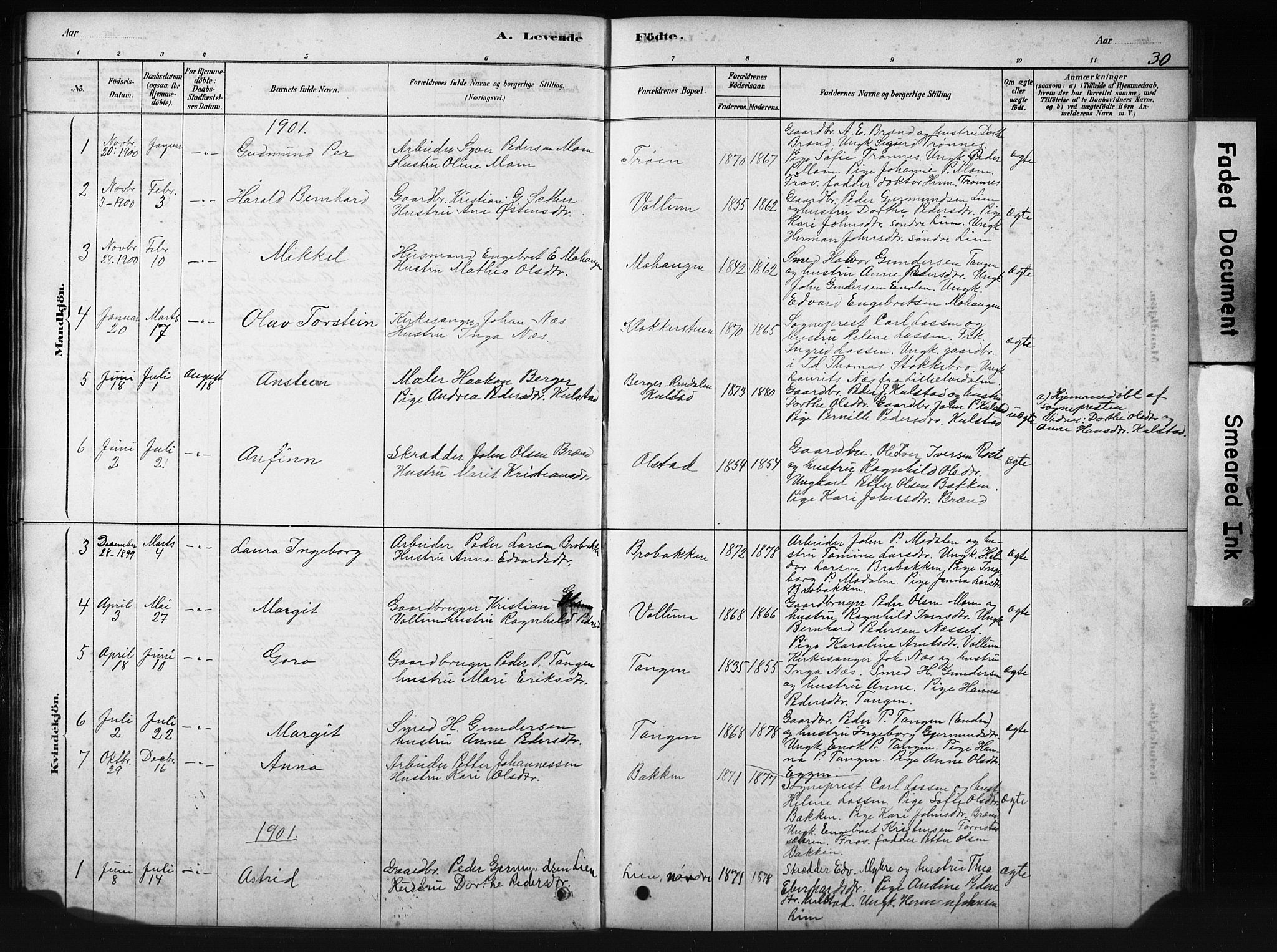 Sollia prestekontor, SAH/PREST-050/H/Ha/Hab/L0002: Parish register (copy) no. 2, 1880-1933, p. 30