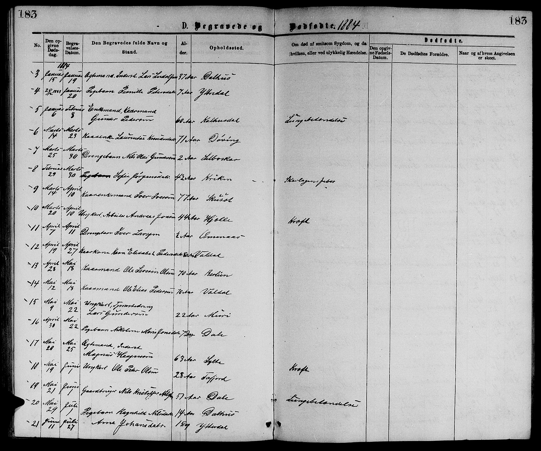 Ministerialprotokoller, klokkerbøker og fødselsregistre - Møre og Romsdal, AV/SAT-A-1454/519/L0262: Parish register (copy) no. 519C03, 1866-1884, p. 183