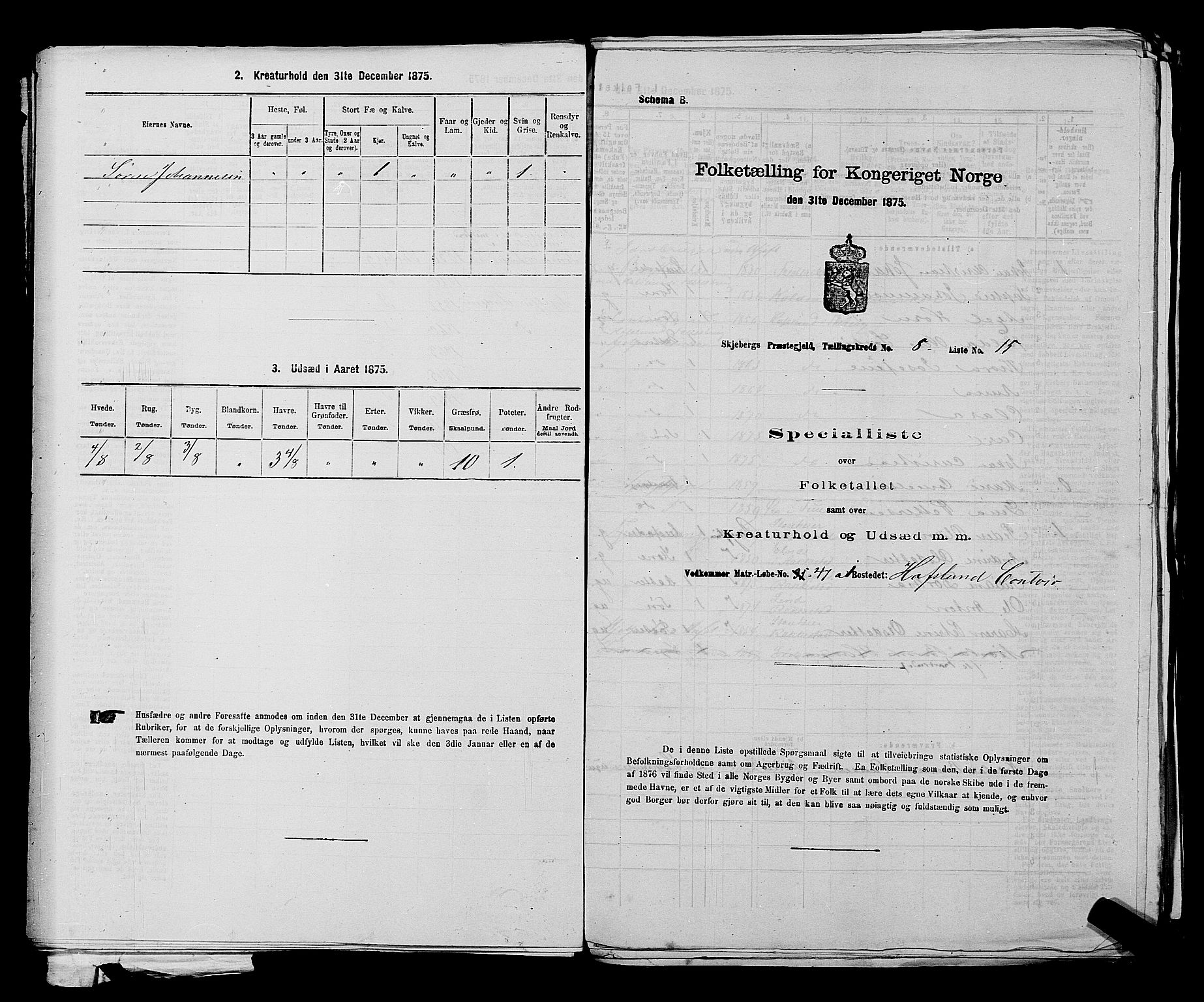 RA, 1875 census for 0115P Skjeberg, 1875, p. 1354