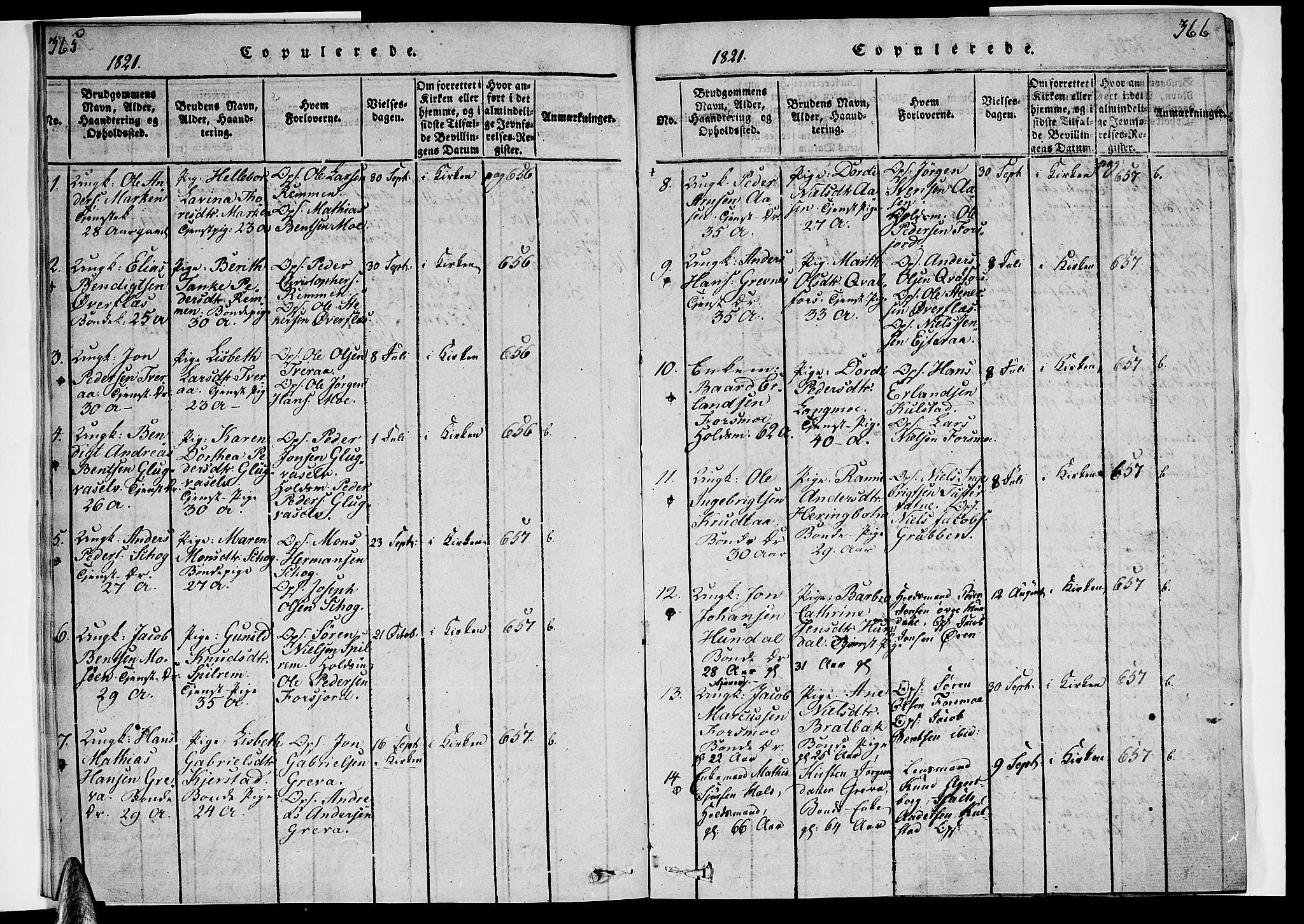 Ministerialprotokoller, klokkerbøker og fødselsregistre - Nordland, AV/SAT-A-1459/820/L0288: Parish register (official) no. 820A09, 1820-1825, p. 365-366