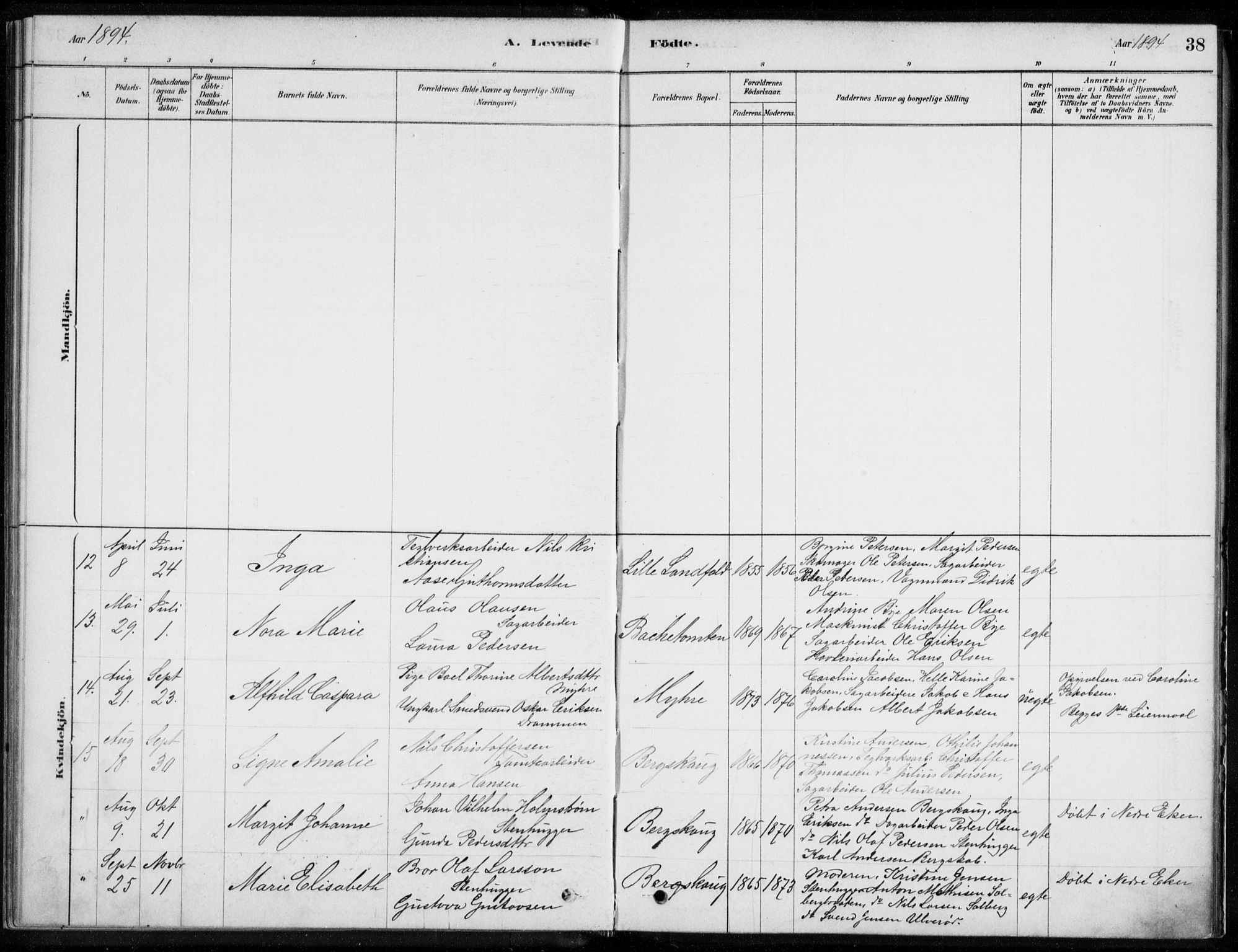 Åssiden kirkebøker, AV/SAKO-A-251/F/Fa/L0001: Parish register (official) no. 1, 1878-1904, p. 38