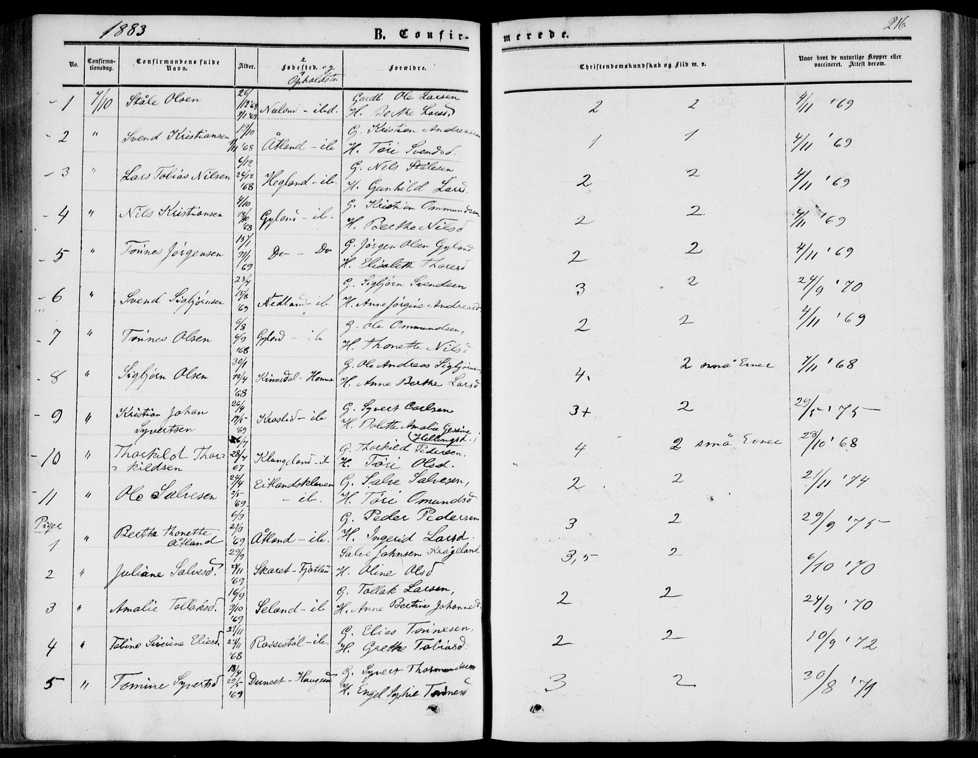 Bakke sokneprestkontor, SAK/1111-0002/F/Fa/Fab/L0002: Parish register (official) no. A 2, 1855-1884, p. 216