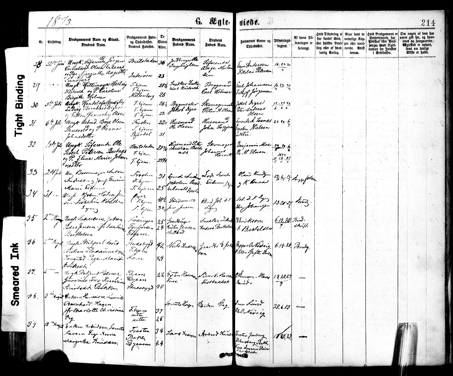 Ministerialprotokoller, klokkerbøker og fødselsregistre - Sør-Trøndelag, SAT/A-1456/602/L0118: Parish register (official) no. 602A16, 1873-1879, p. 214
