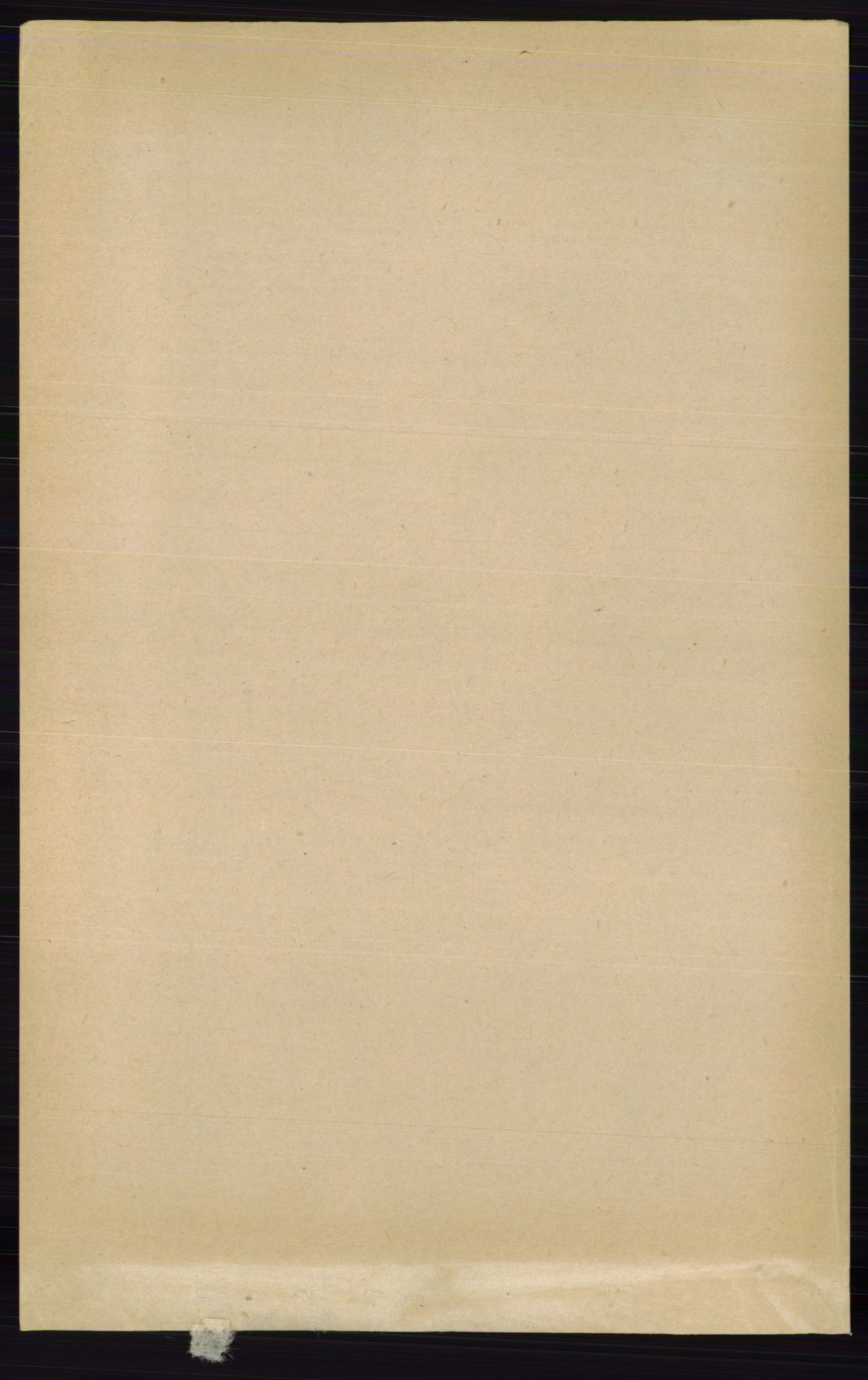 RA, 1891 census for 0421 Vinger, 1891, p. 3631