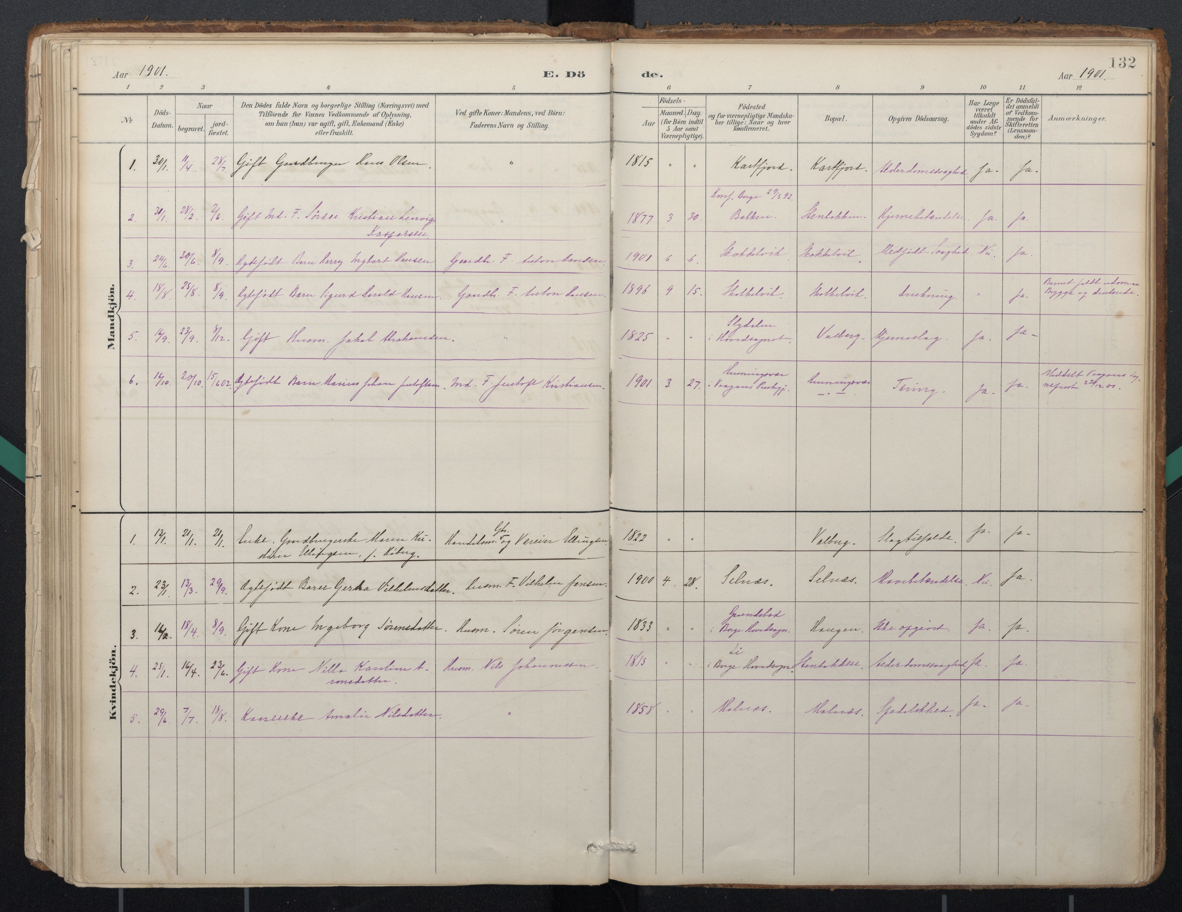 Ministerialprotokoller, klokkerbøker og fødselsregistre - Nordland, AV/SAT-A-1459/884/L1193: Parish register (official) no. 884A01, 1888-1905, p. 132