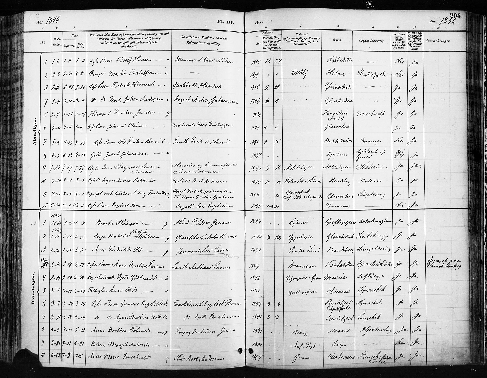 Jevnaker prestekontor, SAH/PREST-116/H/Ha/Haa/L0009: Parish register (official) no. 9, 1891-1901, p. 204