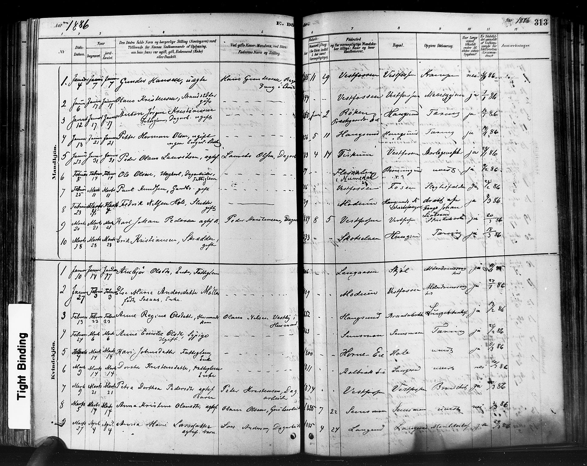 Eiker kirkebøker, SAKO/A-4/F/Fb/L0001: Parish register (official) no. II 1, 1878-1888, p. 313