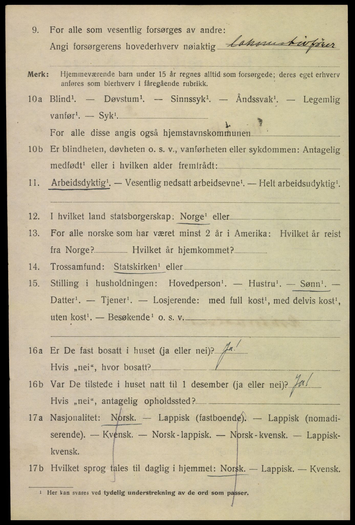 SAT, 1920 census for Narvik, 1920, p. 14265