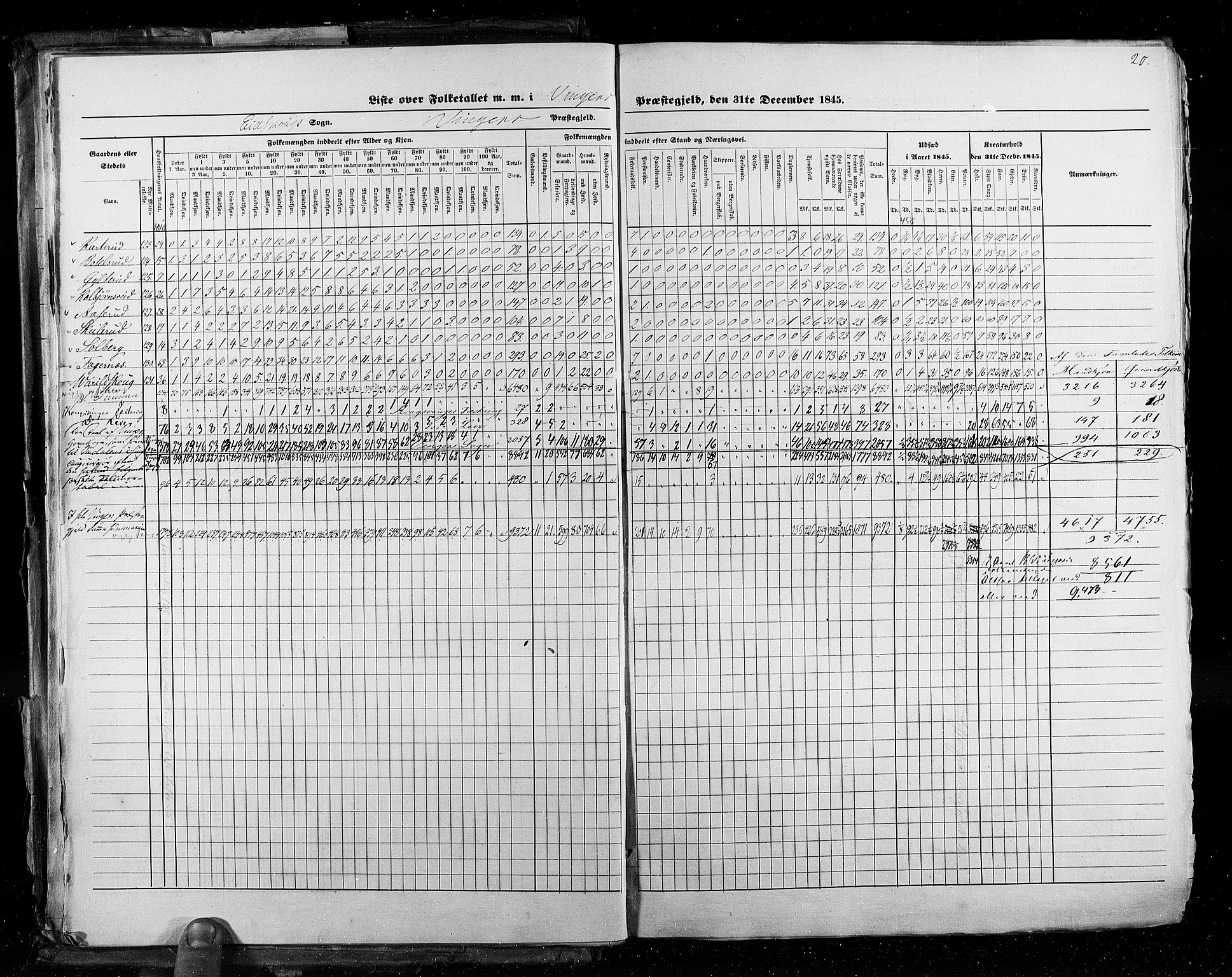 RA, Census 1845, vol. 3: Hedemarken amt og Kristians amt, 1845, p. 20