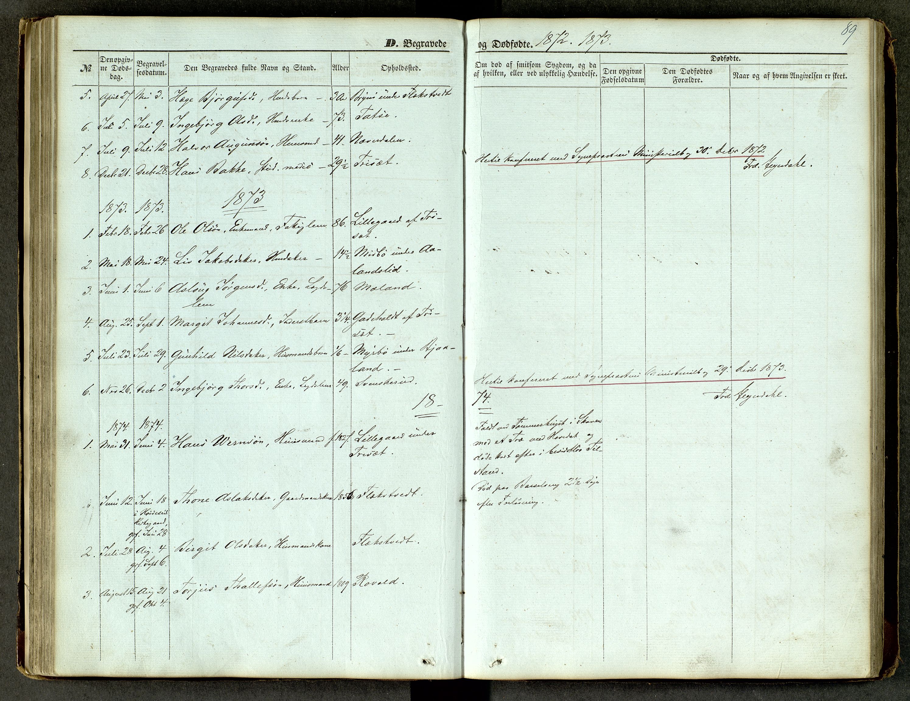 Lårdal kirkebøker, SAKO/A-284/G/Ga/L0002: Parish register (copy) no. I 2, 1861-1890, p. 89