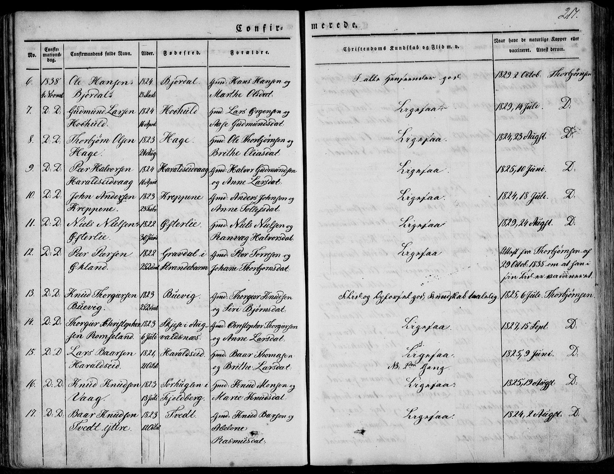 Skjold sokneprestkontor, AV/SAST-A-101847/H/Ha/Haa/L0006: Parish register (official) no. A 6.1, 1835-1858, p. 217