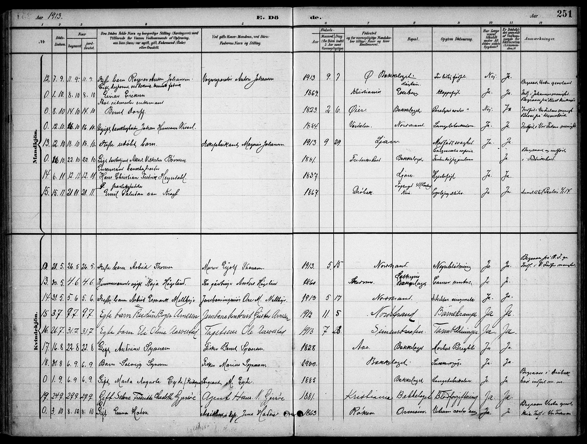 Nordstrand prestekontor Kirkebøker, SAO/A-10362a/F/Fa/L0001: Parish register (official) no. I 1, 1900-1914, p. 251