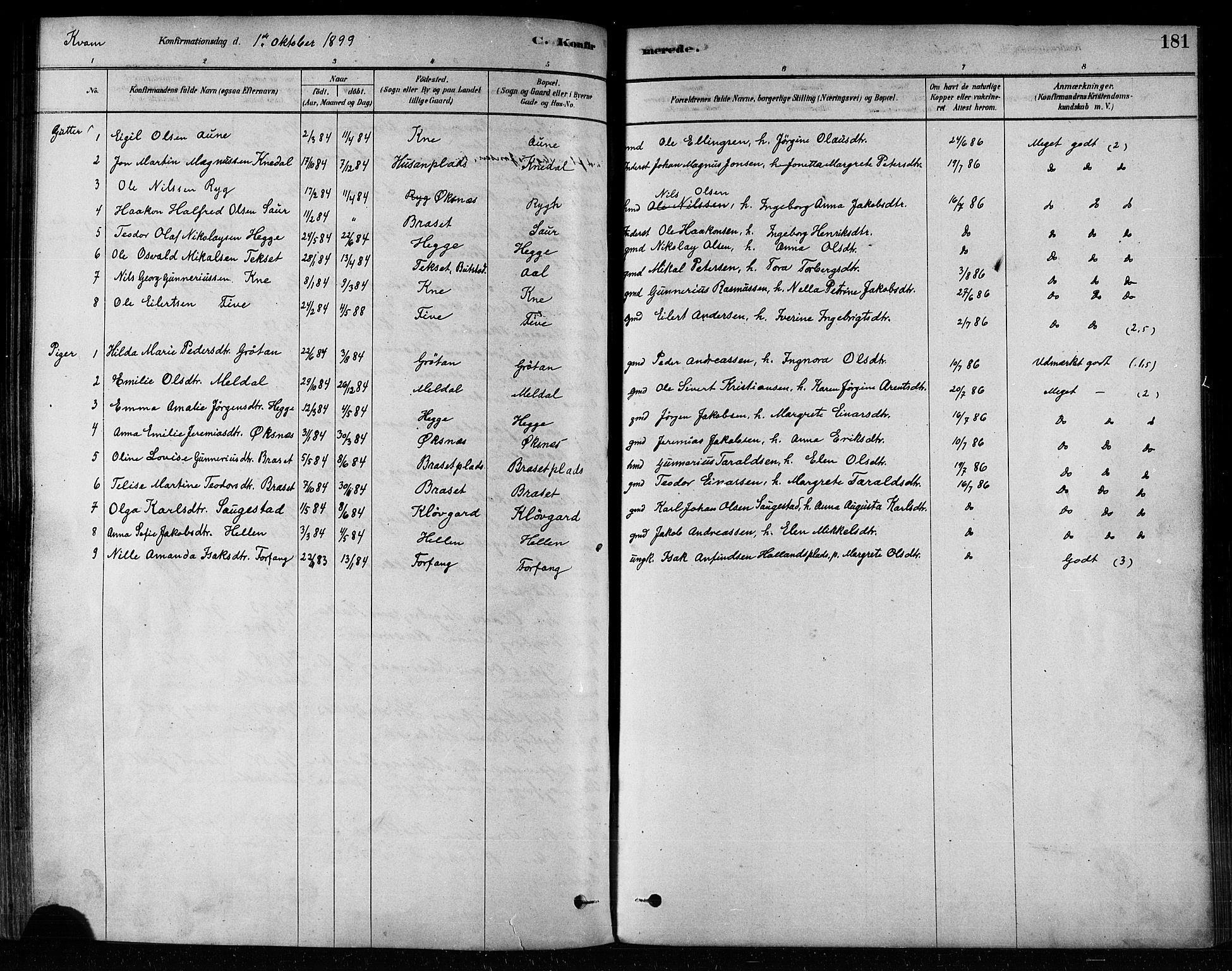 Ministerialprotokoller, klokkerbøker og fødselsregistre - Nord-Trøndelag, SAT/A-1458/746/L0449: Parish register (official) no. 746A07 /2, 1878-1899, p. 181