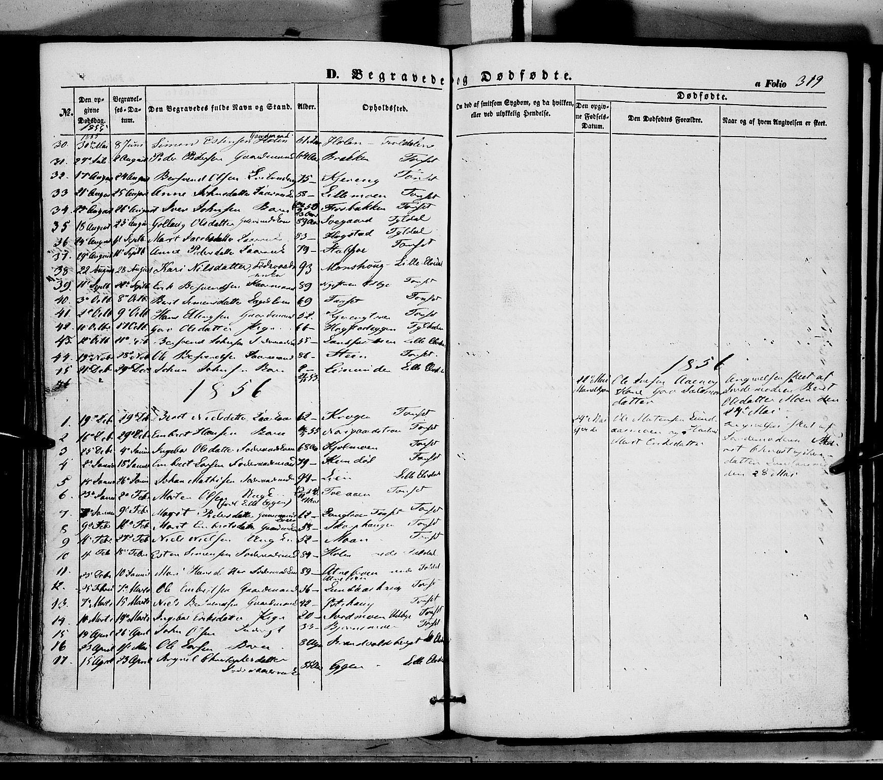 Tynset prestekontor, SAH/PREST-058/H/Ha/Haa/L0020: Parish register (official) no. 20, 1848-1862, p. 319