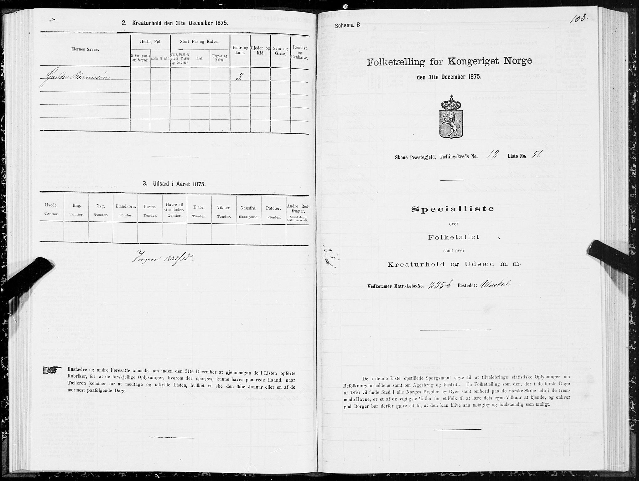 SAT, 1875 census for 1529P Skodje, 1875, p. 4103