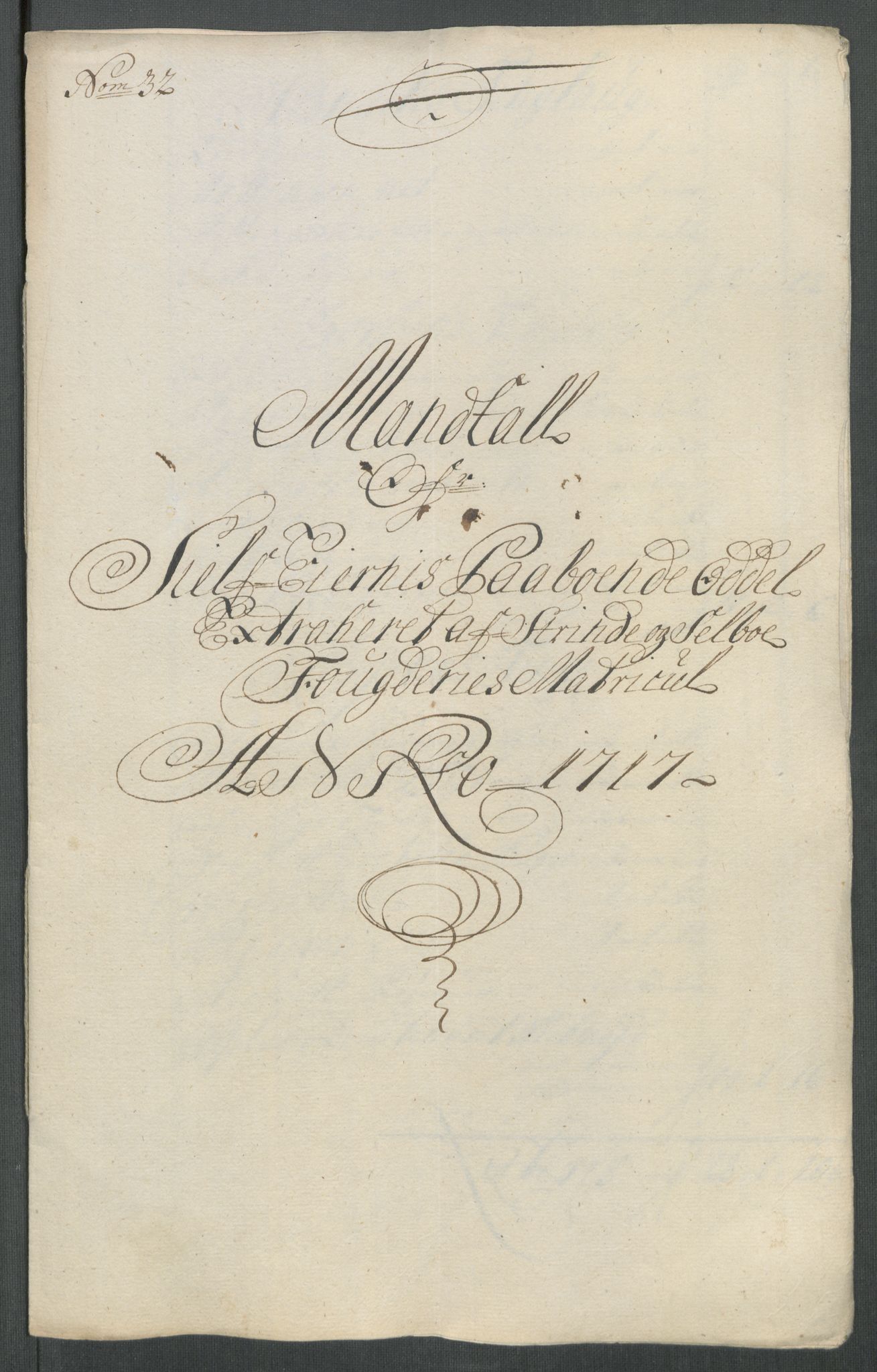 Rentekammeret inntil 1814, Reviderte regnskaper, Fogderegnskap, RA/EA-4092/R61/L4116: Fogderegnskap Strinda og Selbu, 1717-1718, p. 222