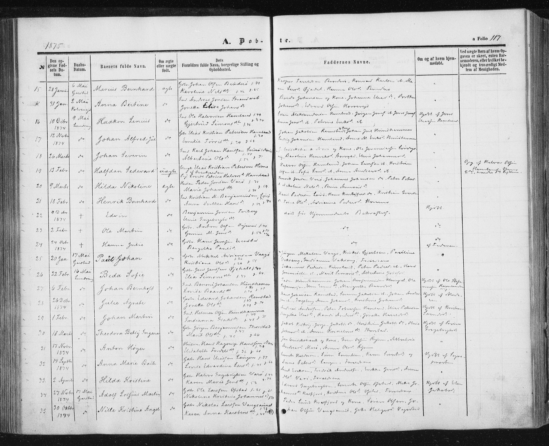 Ministerialprotokoller, klokkerbøker og fødselsregistre - Nord-Trøndelag, AV/SAT-A-1458/784/L0670: Parish register (official) no. 784A05, 1860-1876, p. 117