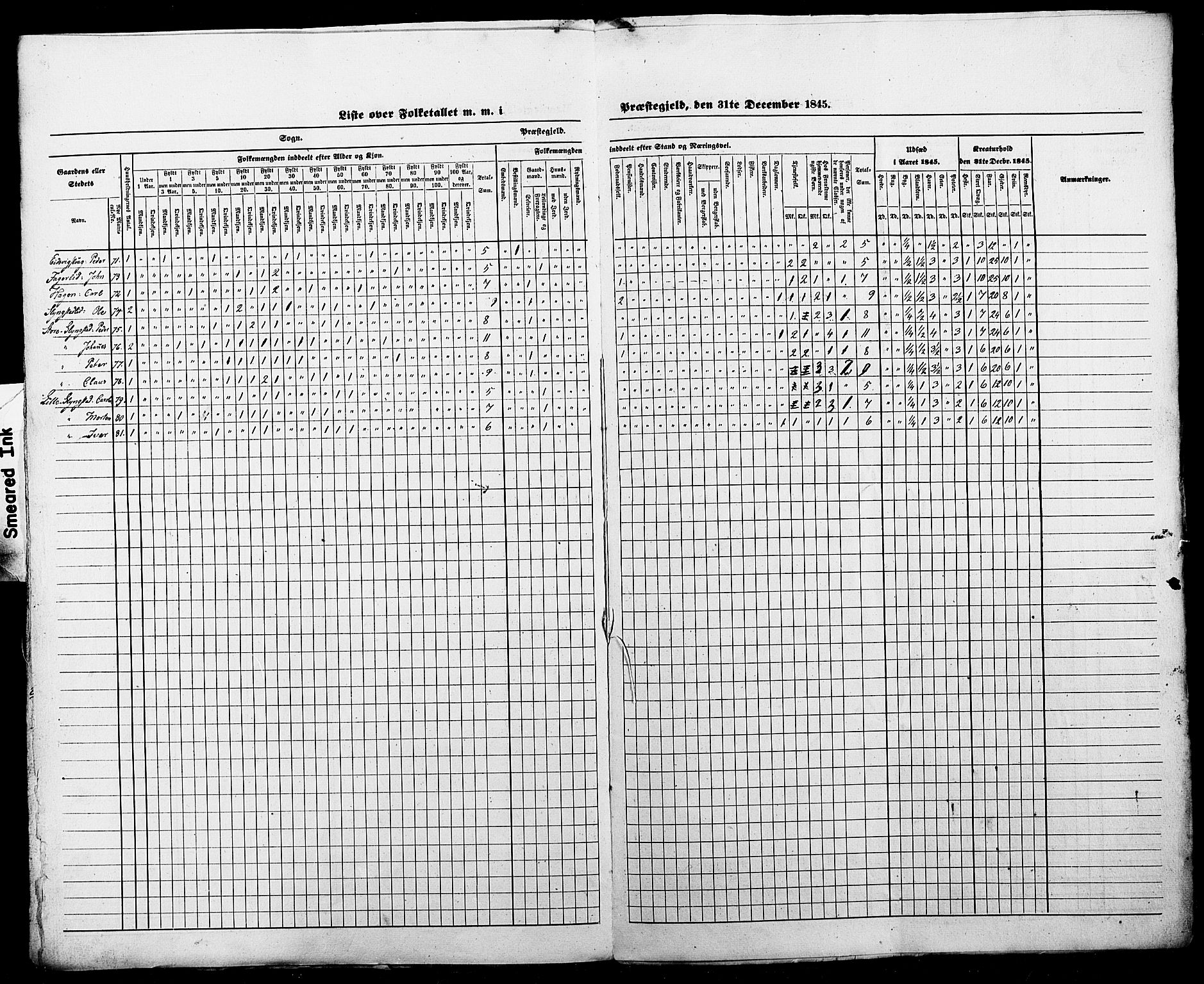 SAT, Census 1845 for Borgund, 1845, p. 44