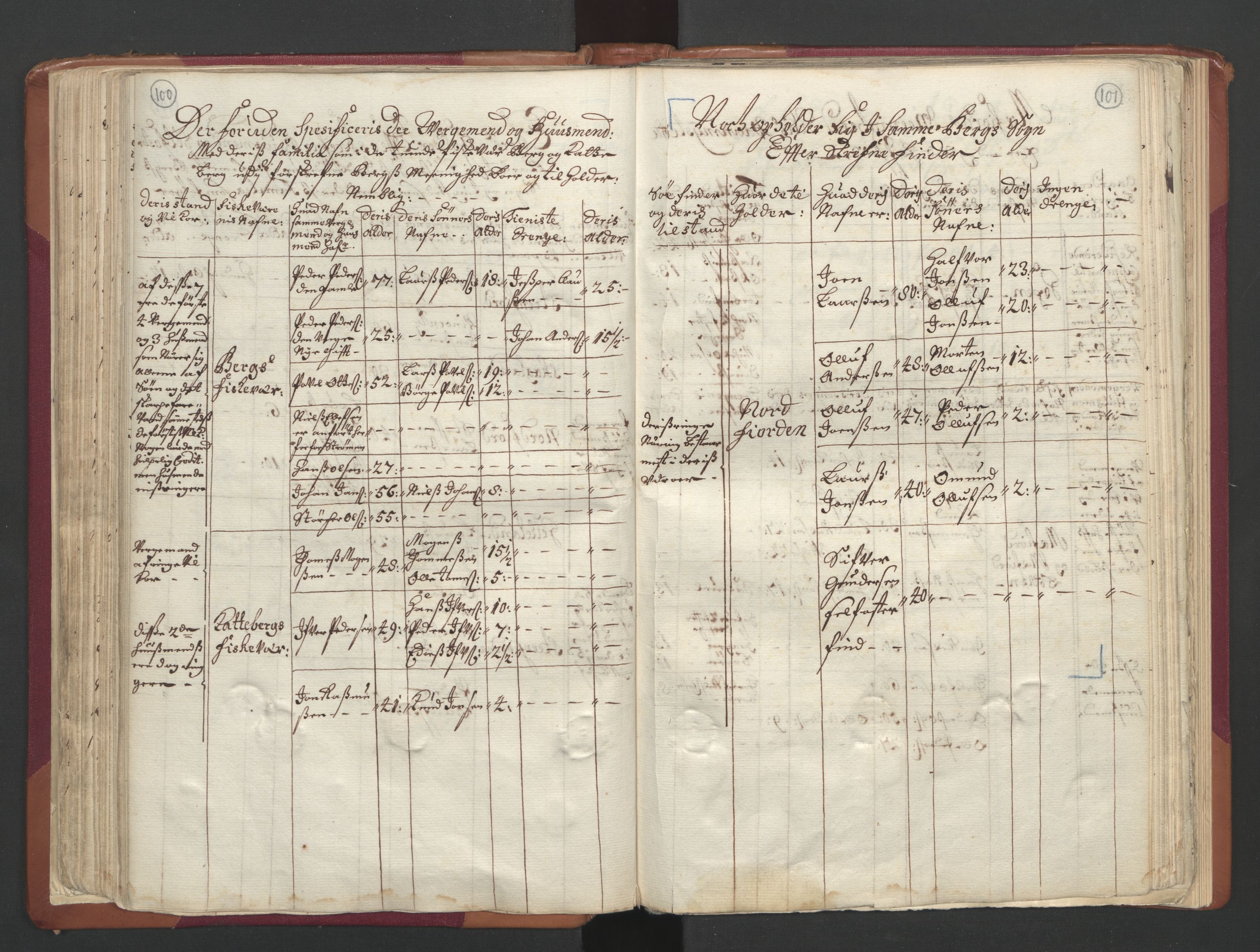 RA, Census (manntall) 1701, no. 19: Senja and Tromsø fogderi, 1701, p. 100-101