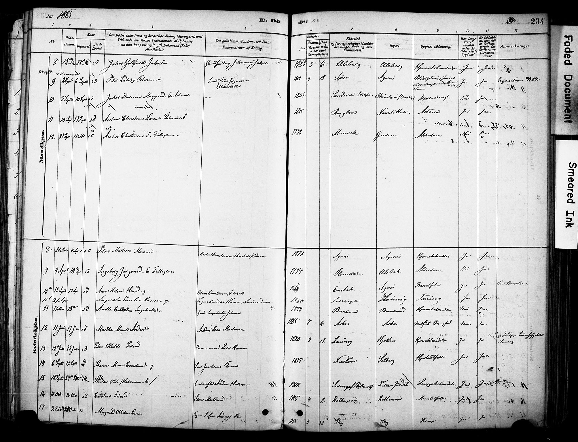 Brunlanes kirkebøker, AV/SAKO-A-342/F/Fc/L0001: Parish register (official) no. III 1, 1878-1899, p. 234