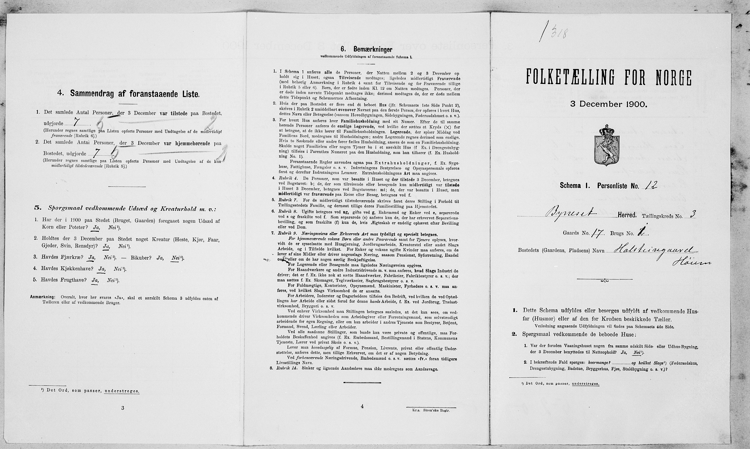 SAT, 1900 census for Byneset, 1900, p. 197