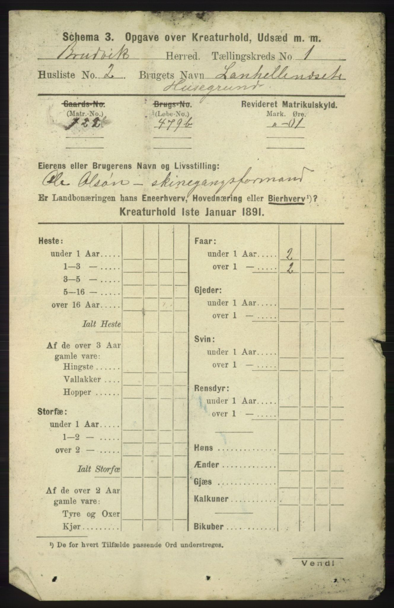 RA, 1891 census for 1251 Bruvik, 1891, p. 4151