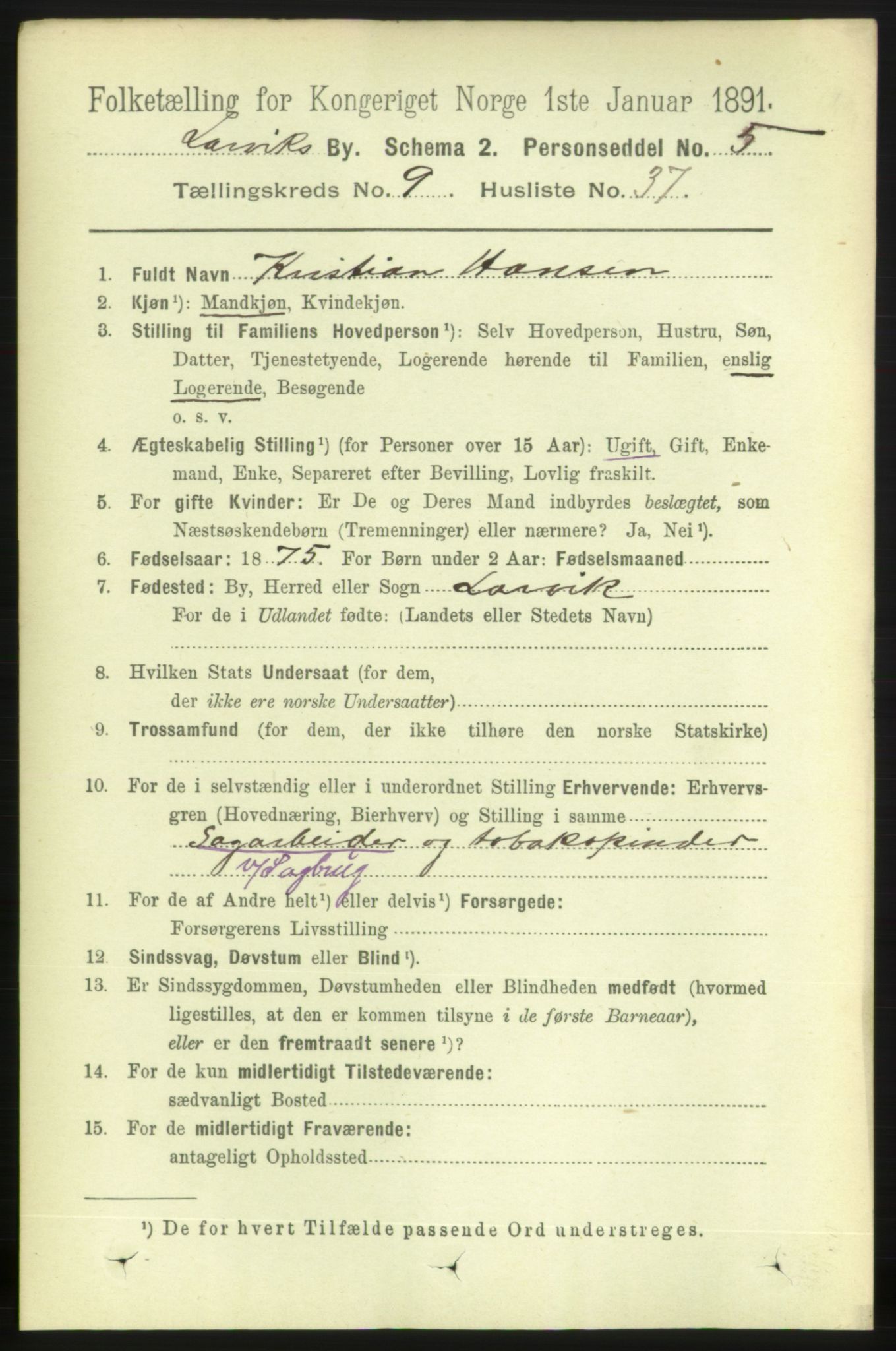 RA, 1891 census for 0707 Larvik, 1891, p. 8863