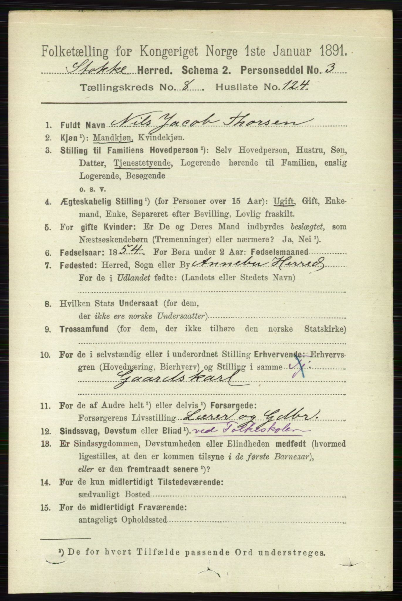 RA, 1891 census for 0720 Stokke, 1891, p. 5767