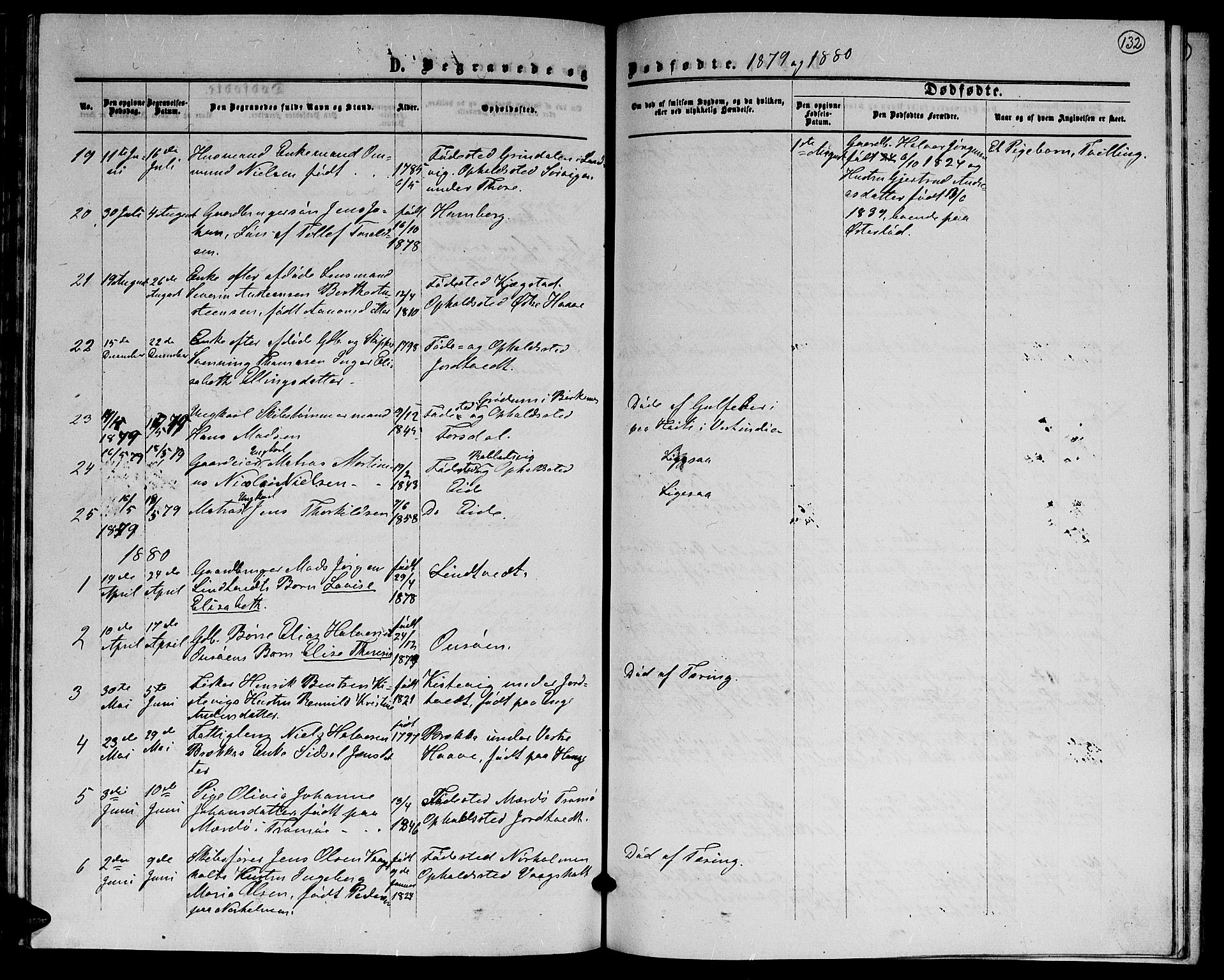 Hommedal sokneprestkontor, AV/SAK-1111-0023/F/Fb/Fba/L0003: Parish register (copy) no. B 3, 1863-1884, p. 132