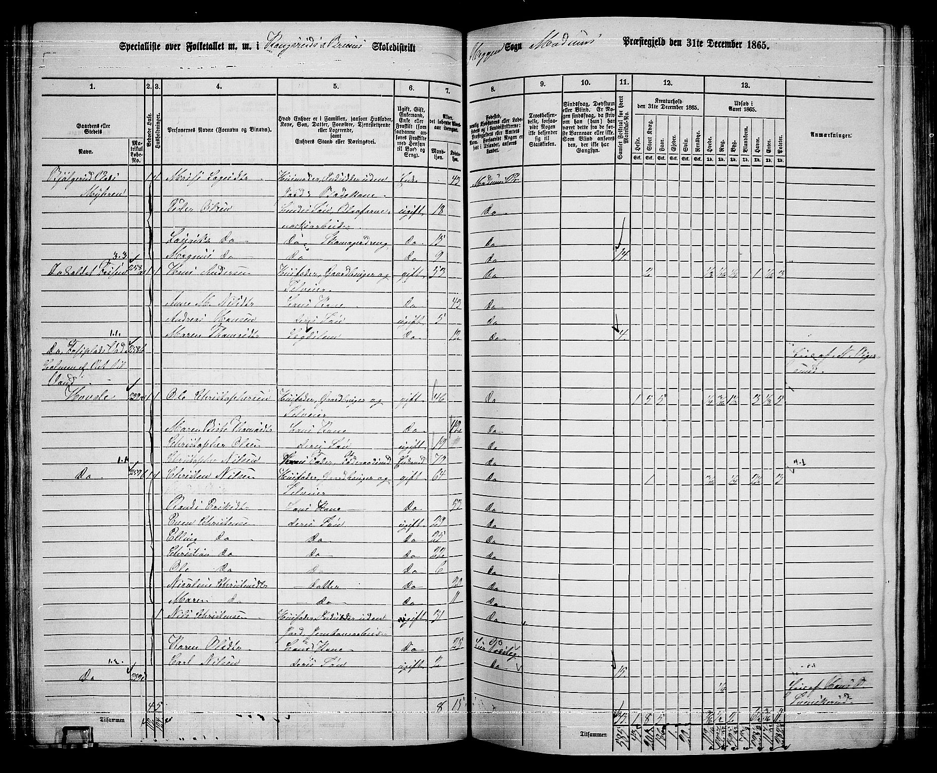 RA, 1865 census for Modum, 1865, p. 155