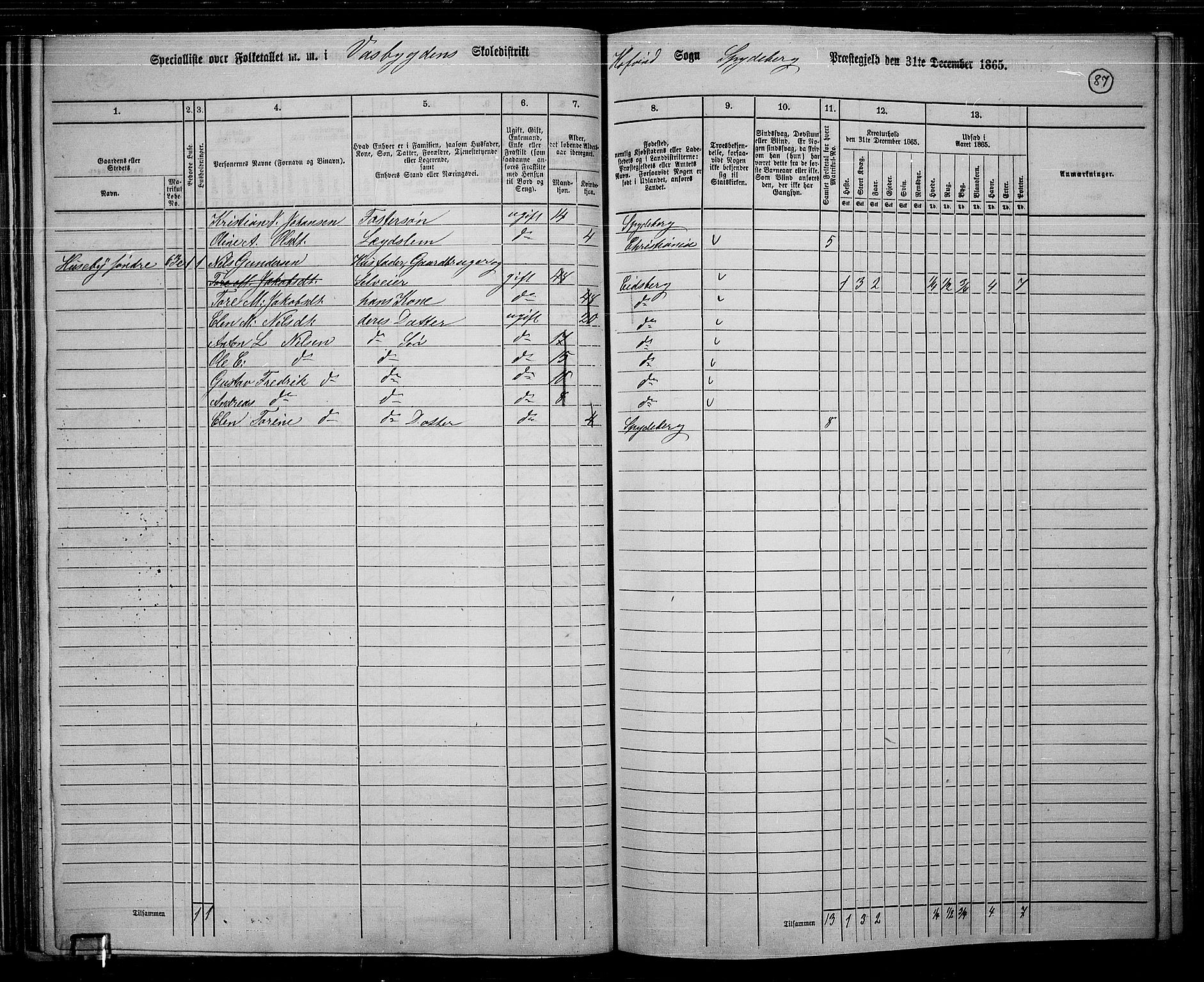 RA, 1865 census for Spydeberg, 1865, p. 78