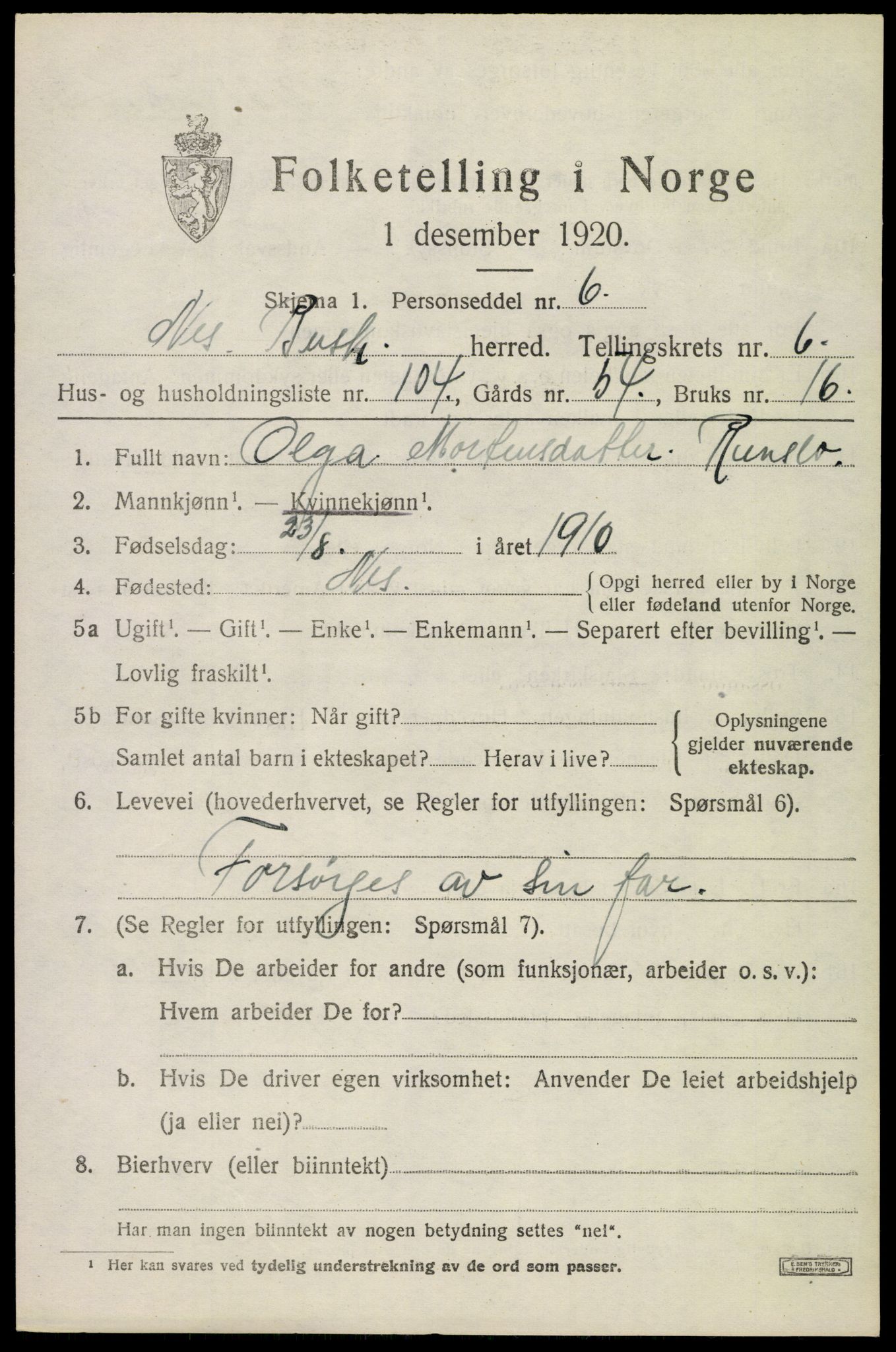 SAKO, 1920 census for Nes (Buskerud), 1920, p. 4324