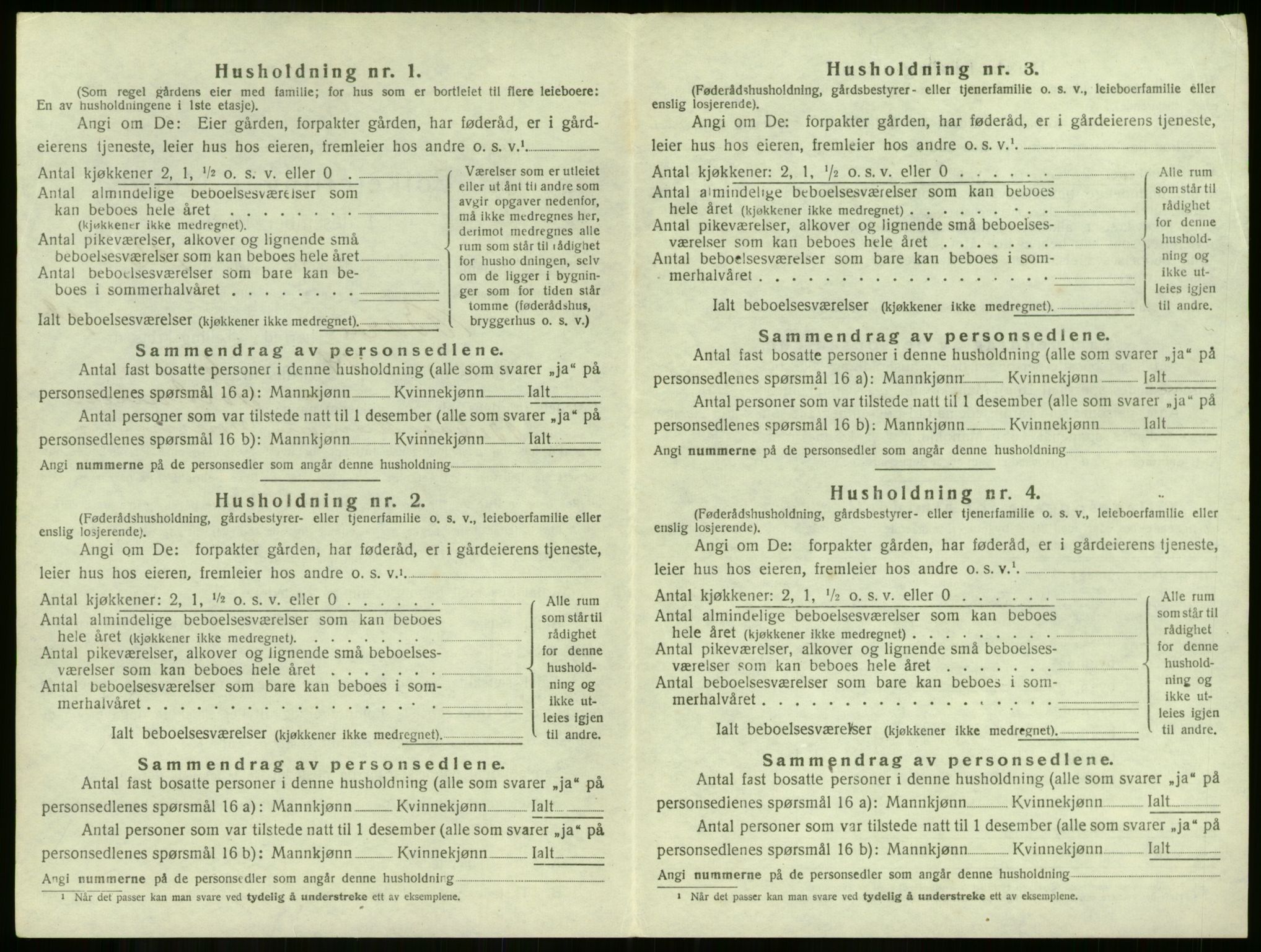 SAKO, 1920 census for Borre, 1920, p. 474